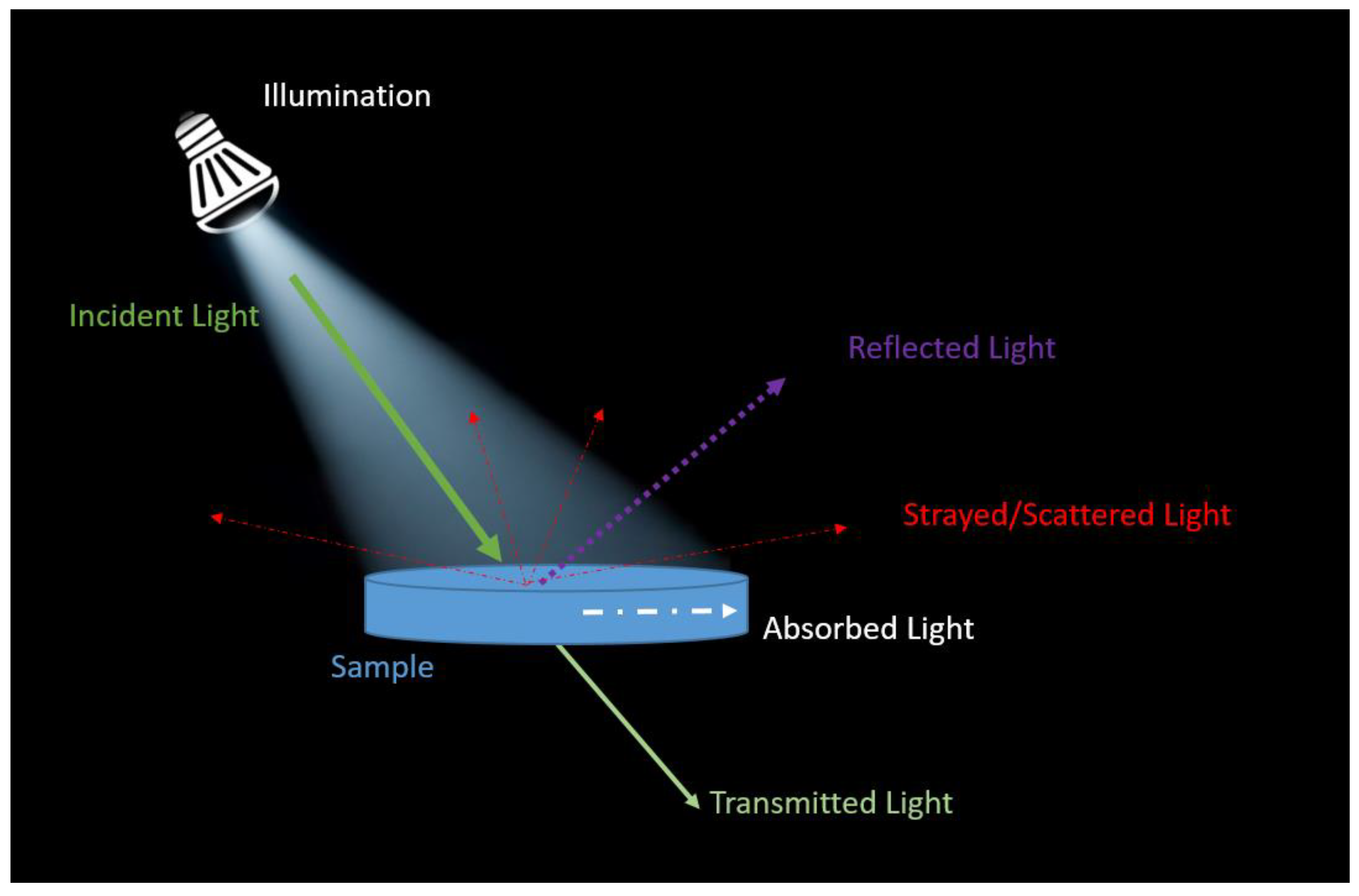 Beverages 05 00038 g002