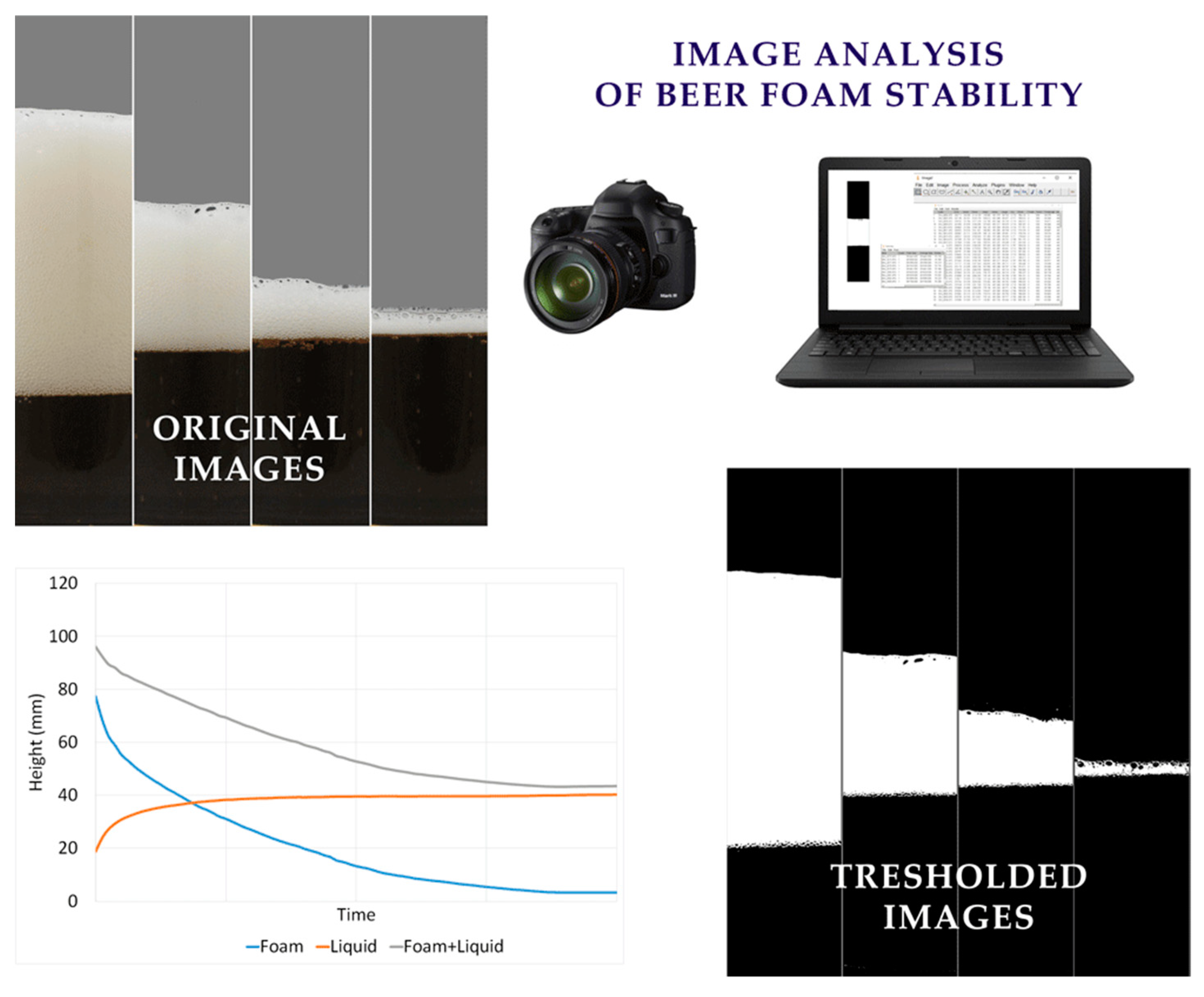 Beverages 05 00038 g013