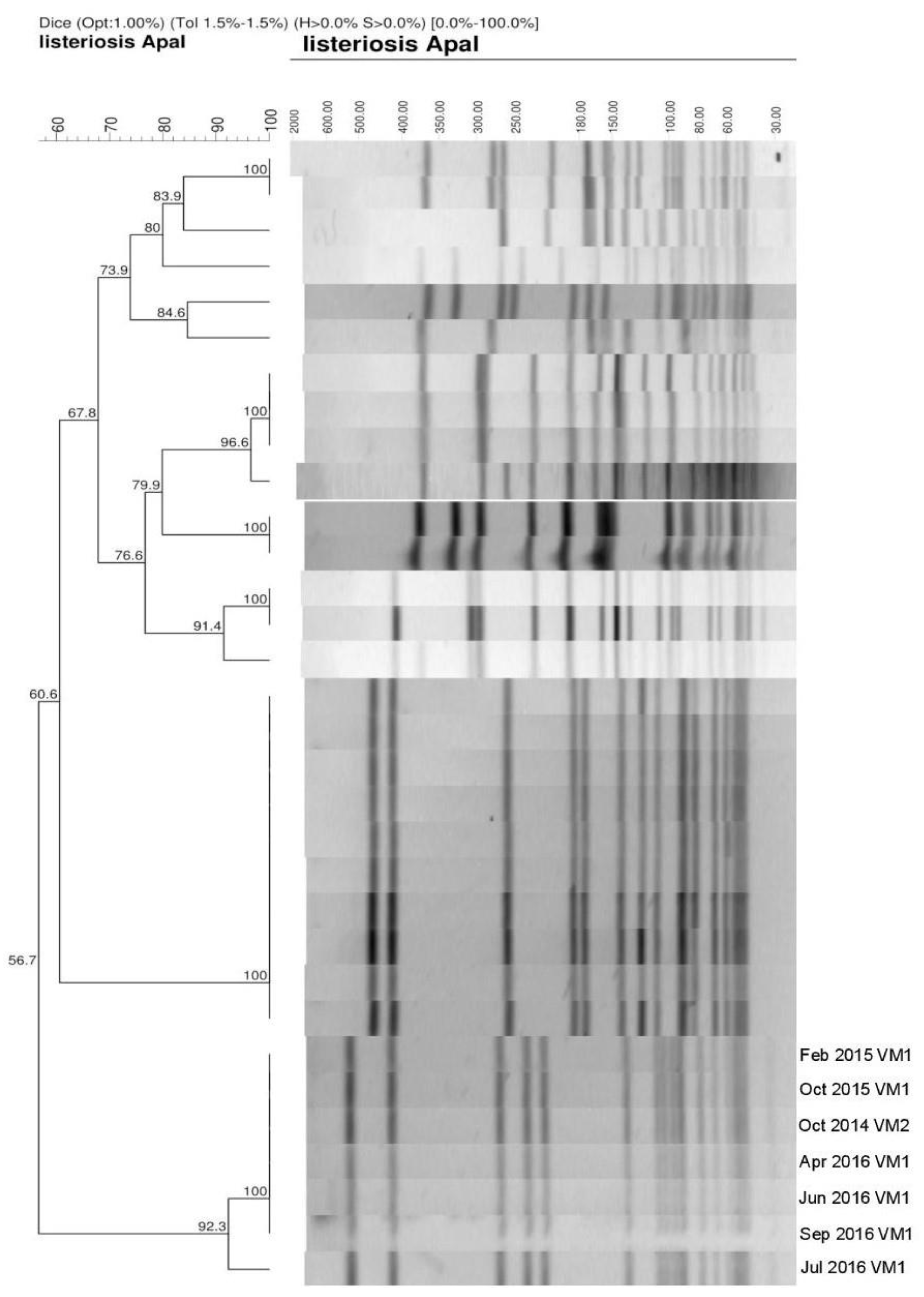 Beverages 05 00046 g001