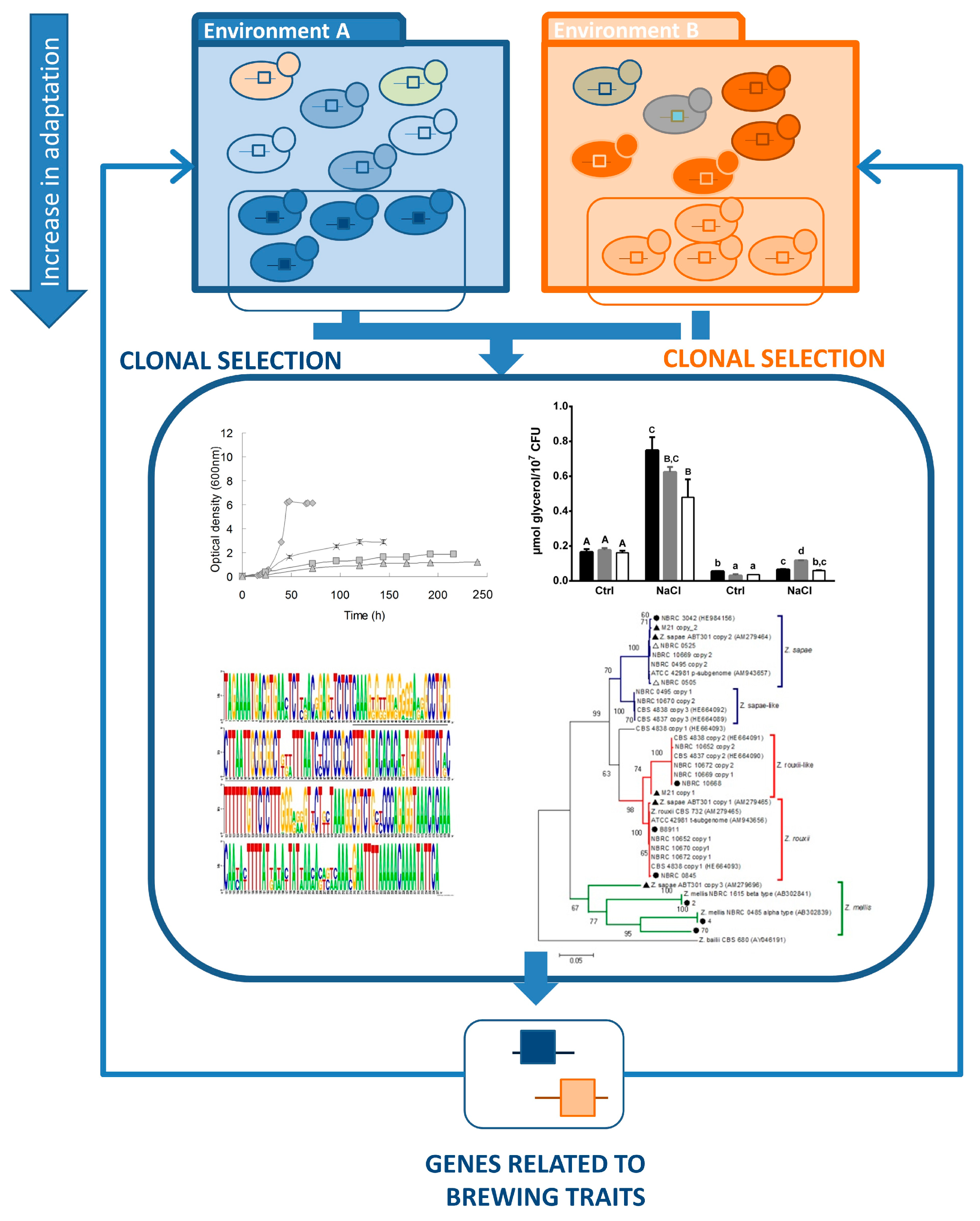 Beverages 06 00003 g003