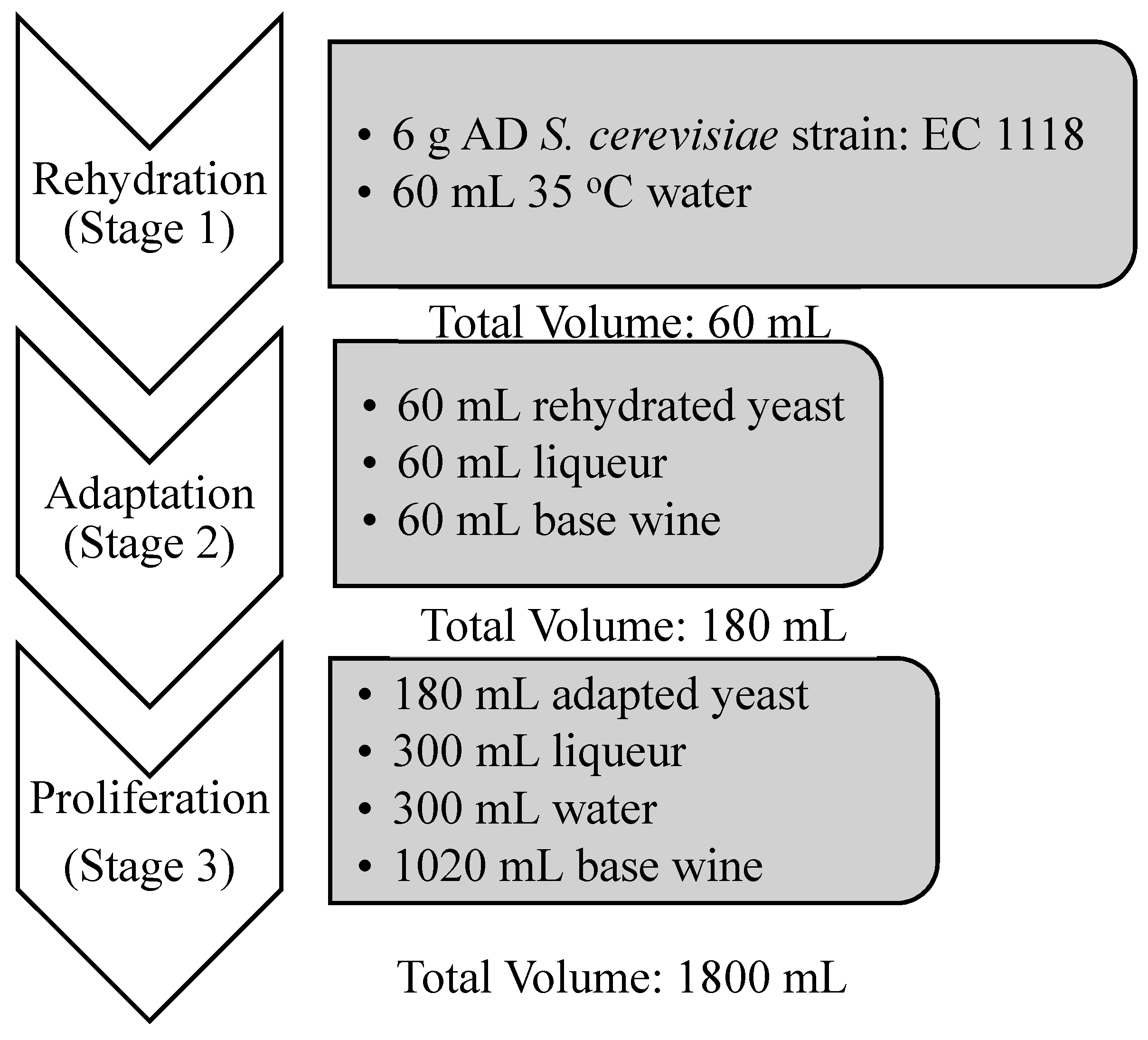 Beverages 06 00010 g001