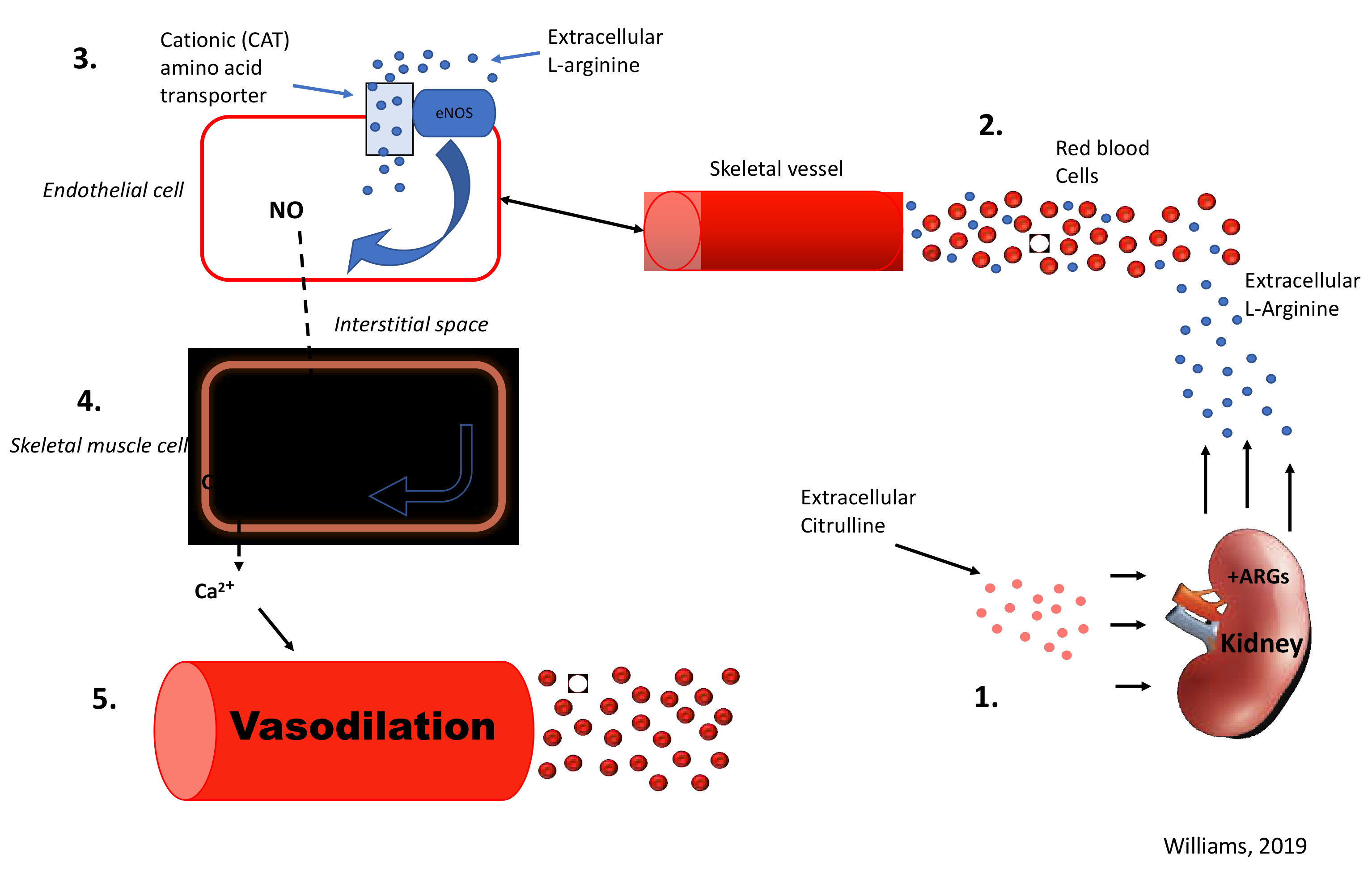 Beverages 06 00011 g001