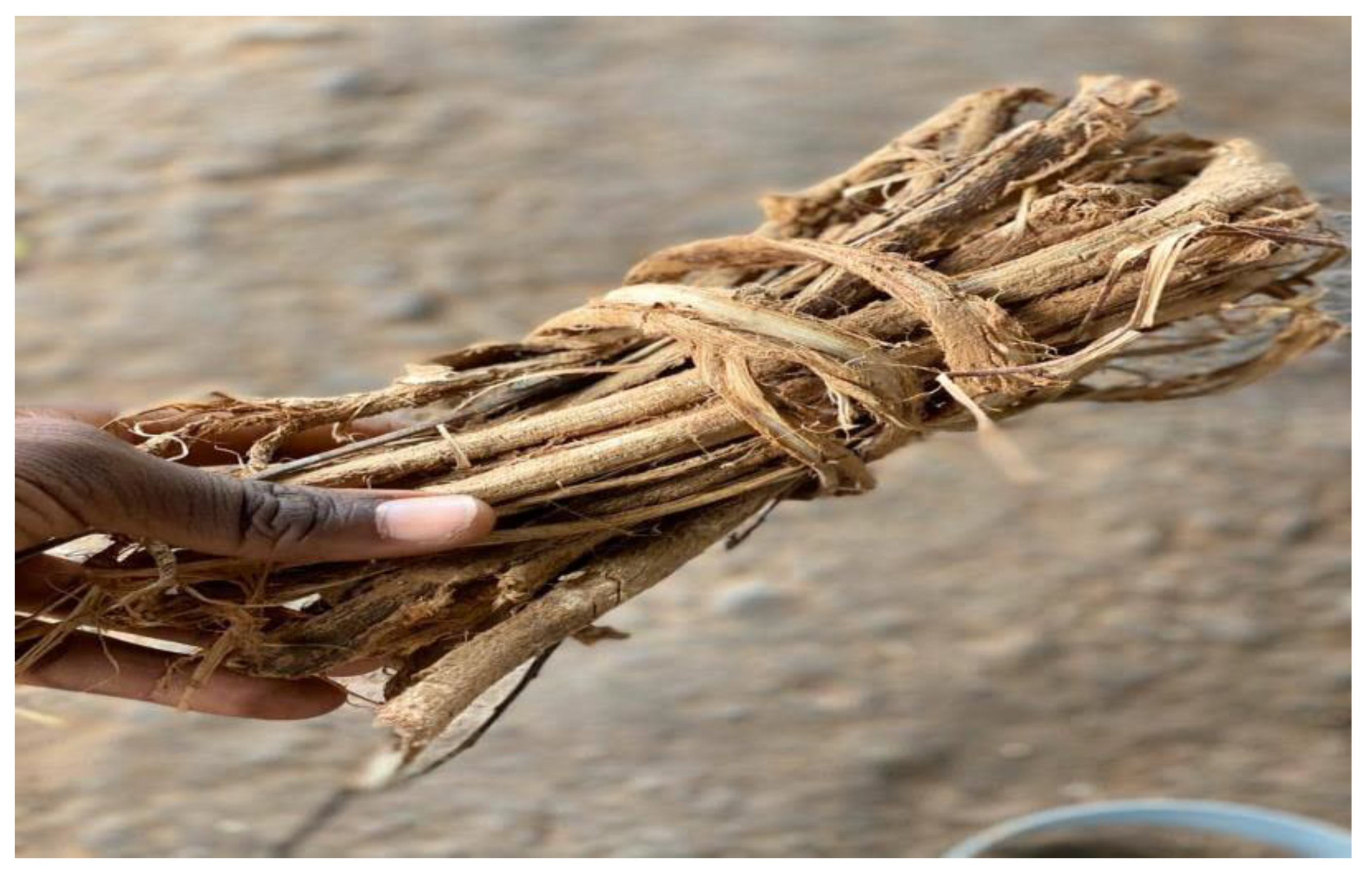 Beverages 06 00022 g004