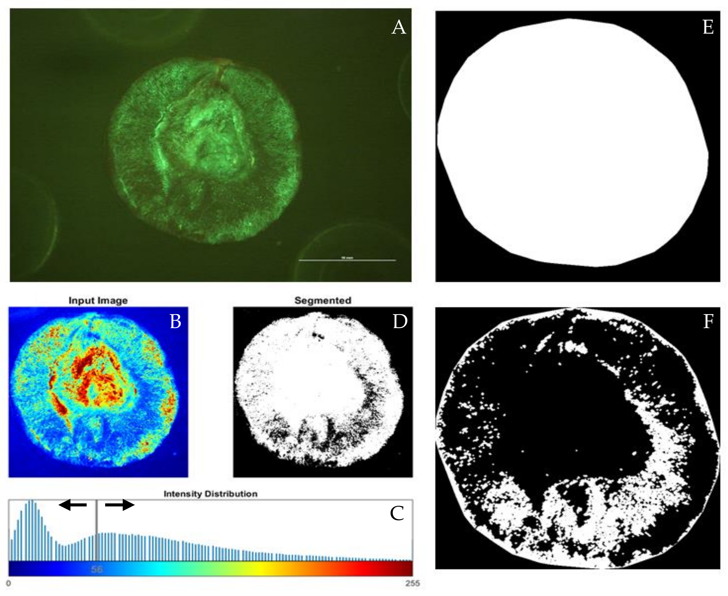 Beverages 06 00039 g001
