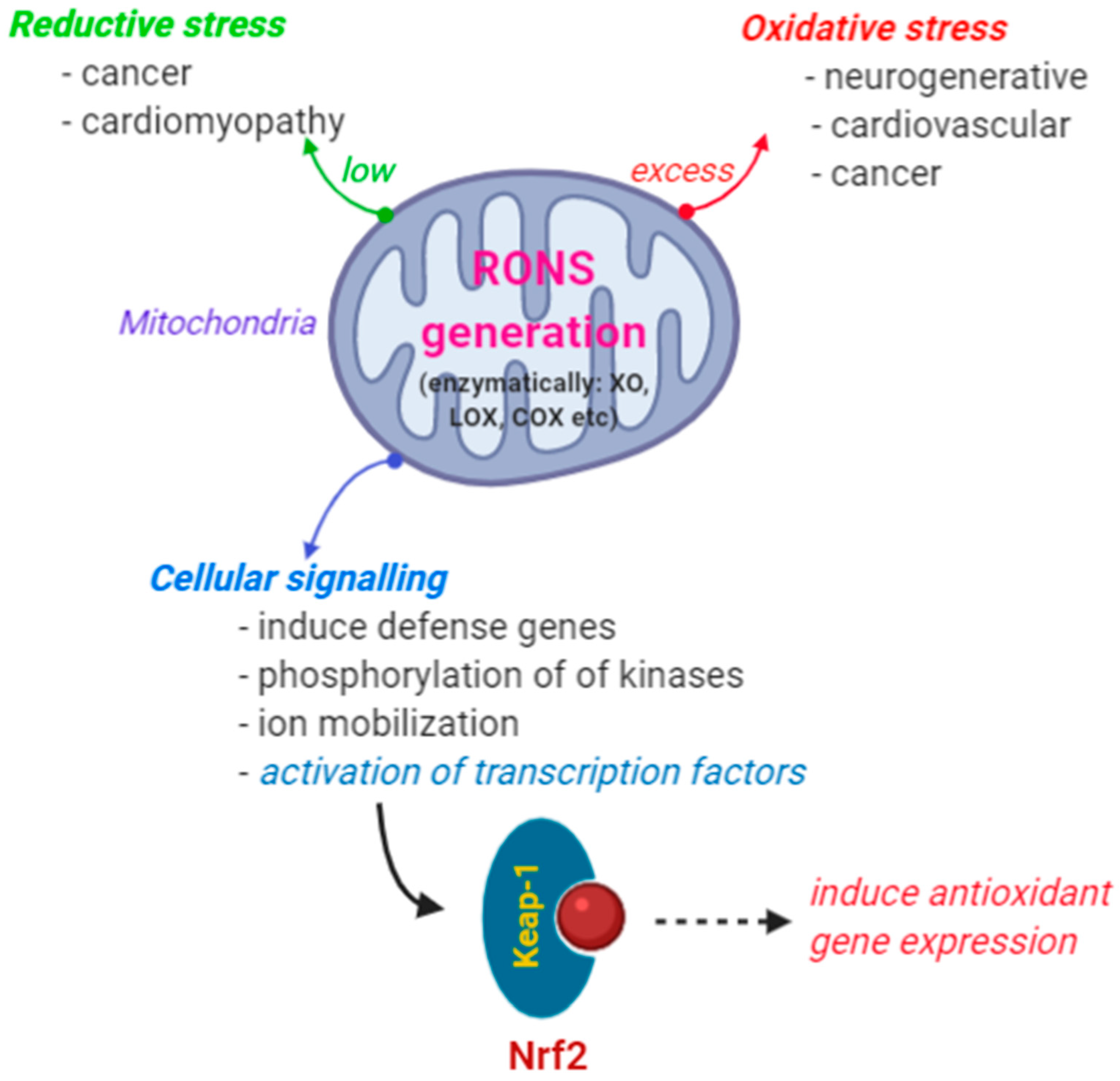 Beverages 06 00068 g001