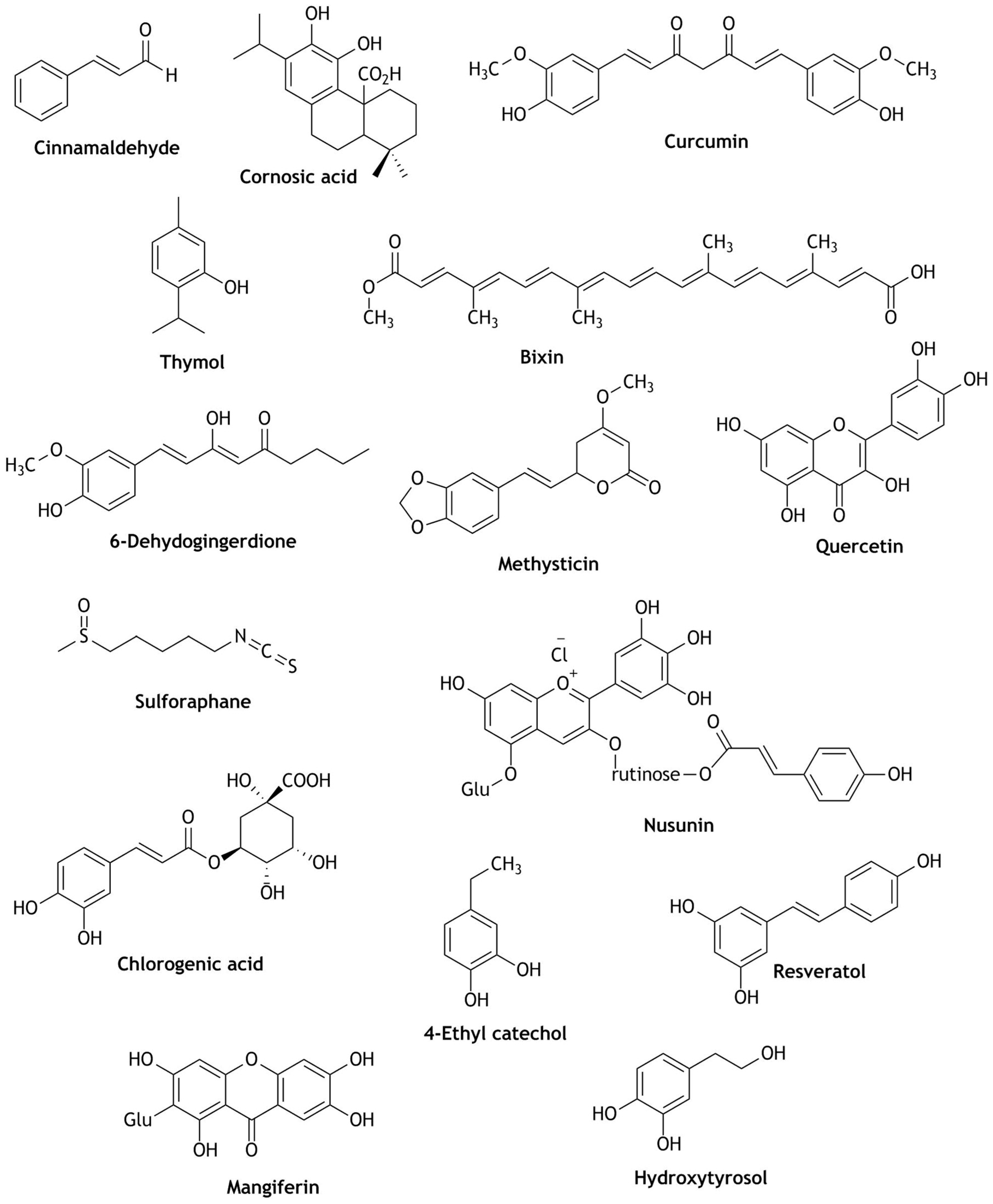 Beverages 06 00068 g002