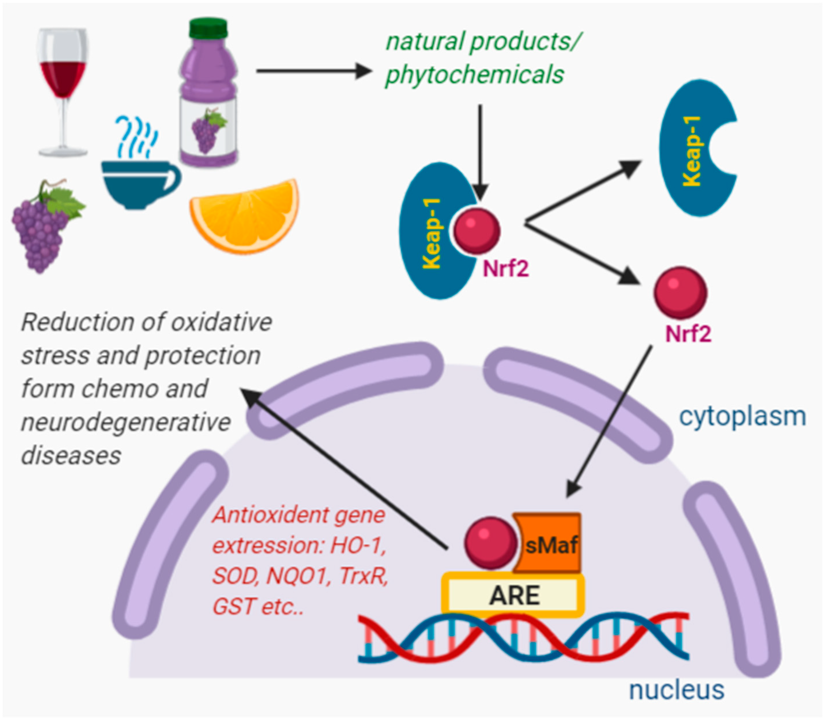Beverages 06 00068 g003