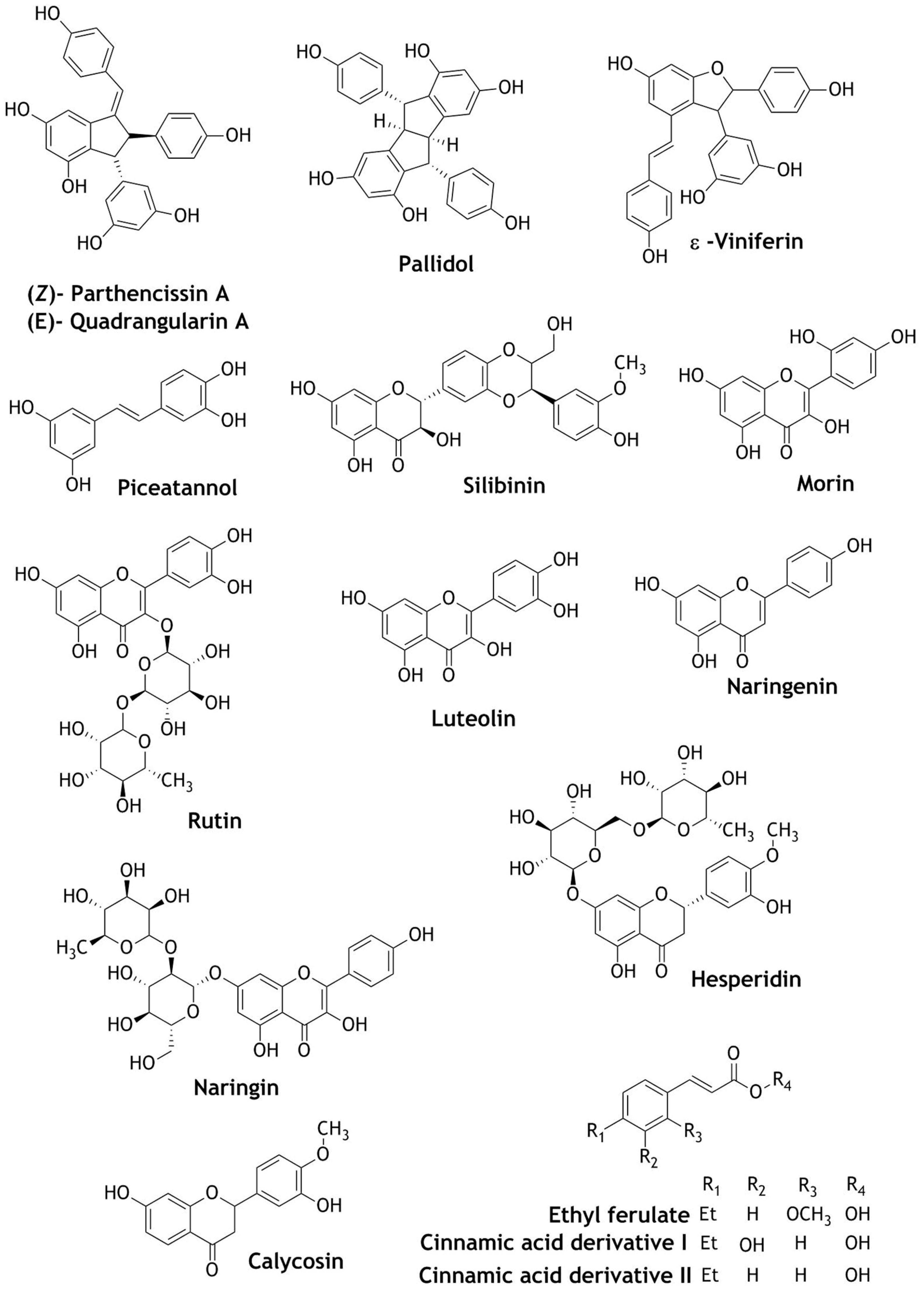 Beverages 06 00068 g006