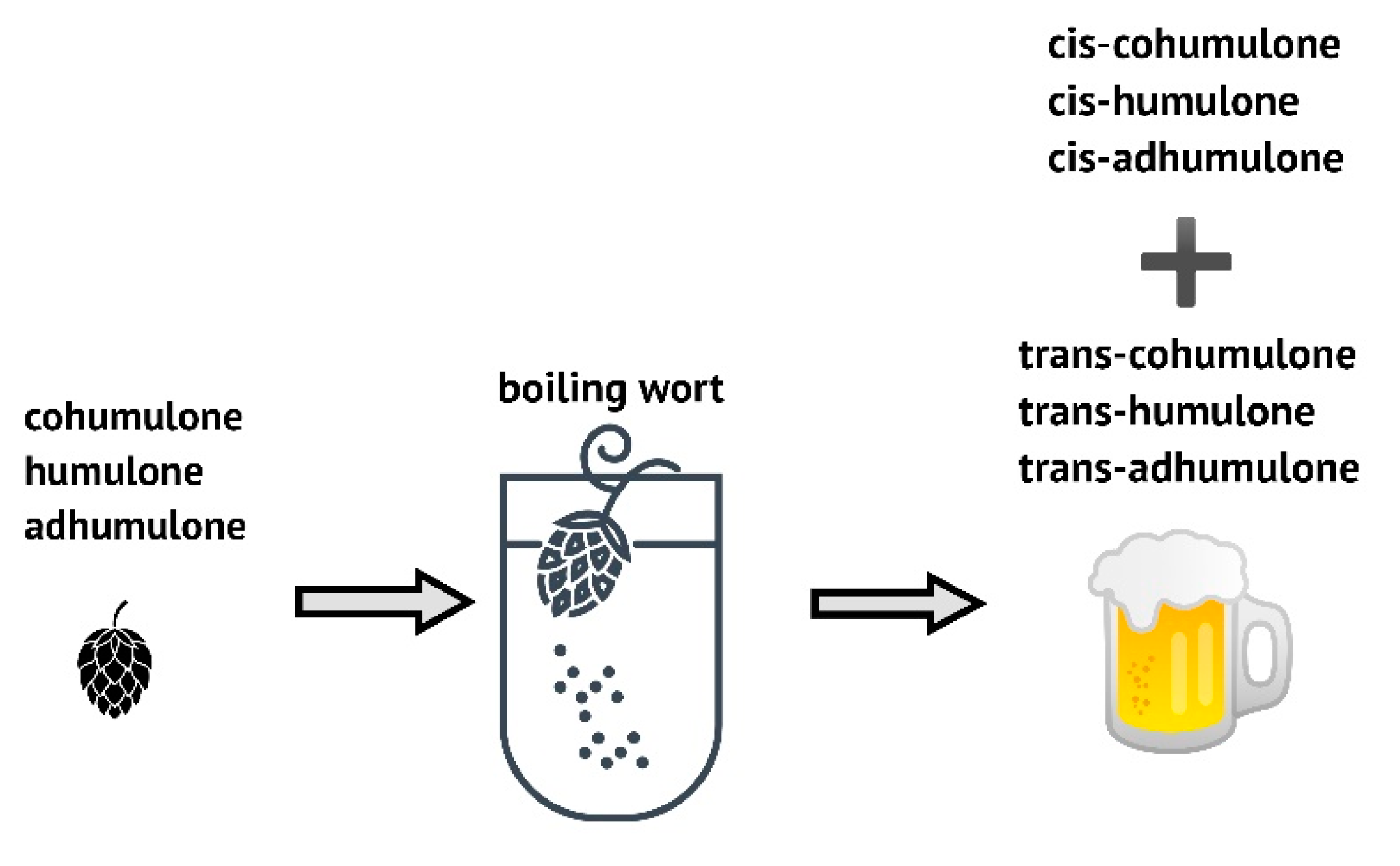 Beverages 07 00038 g003