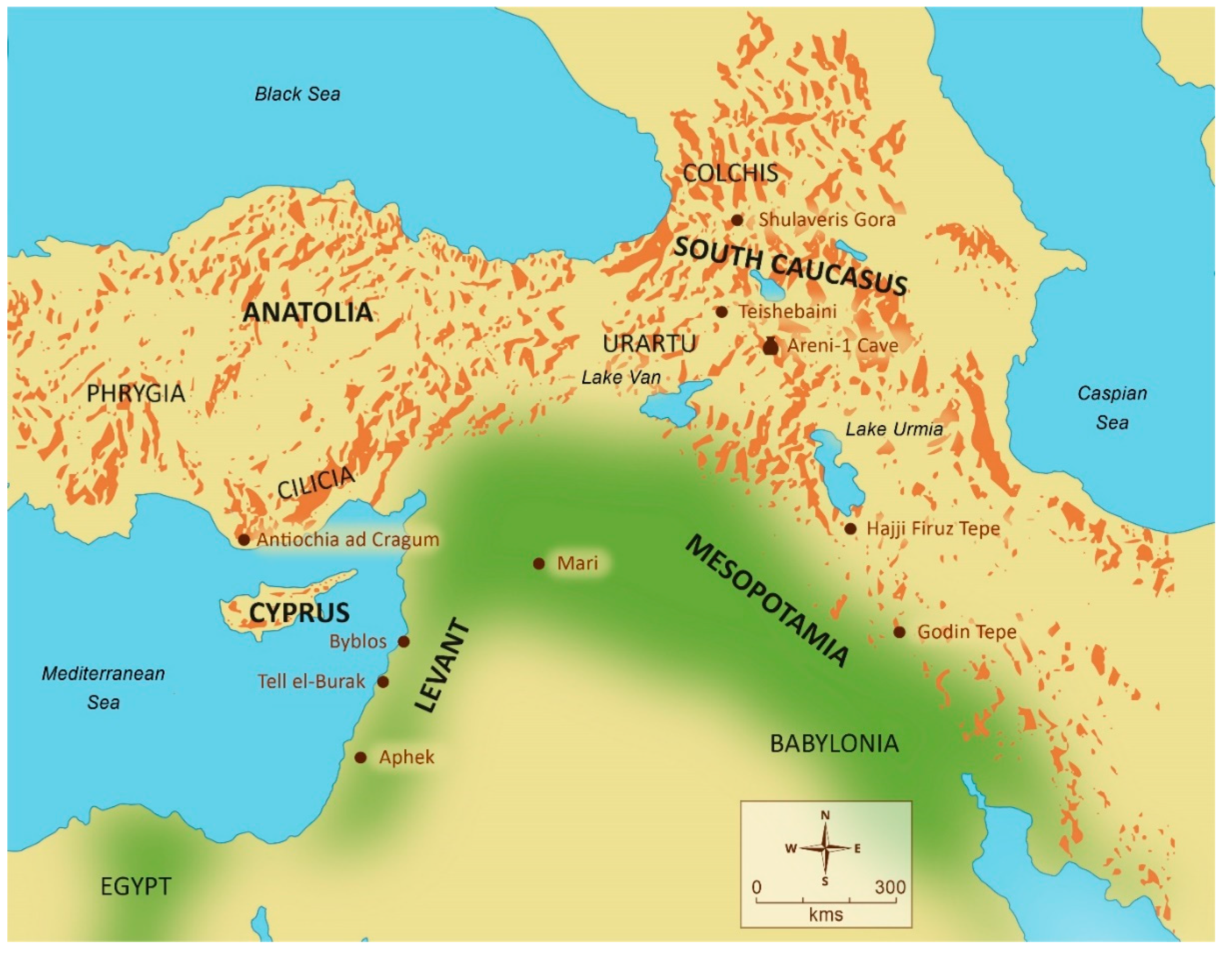 Beverages 08 00010 g001