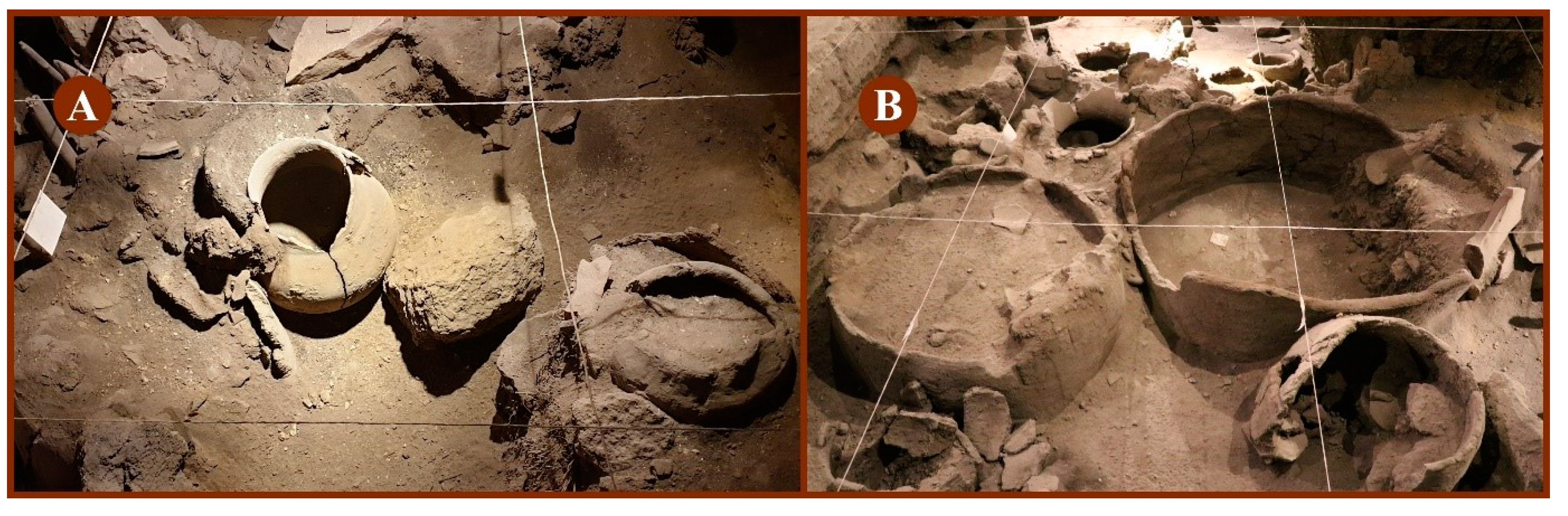 Beverages 08 00010 g002