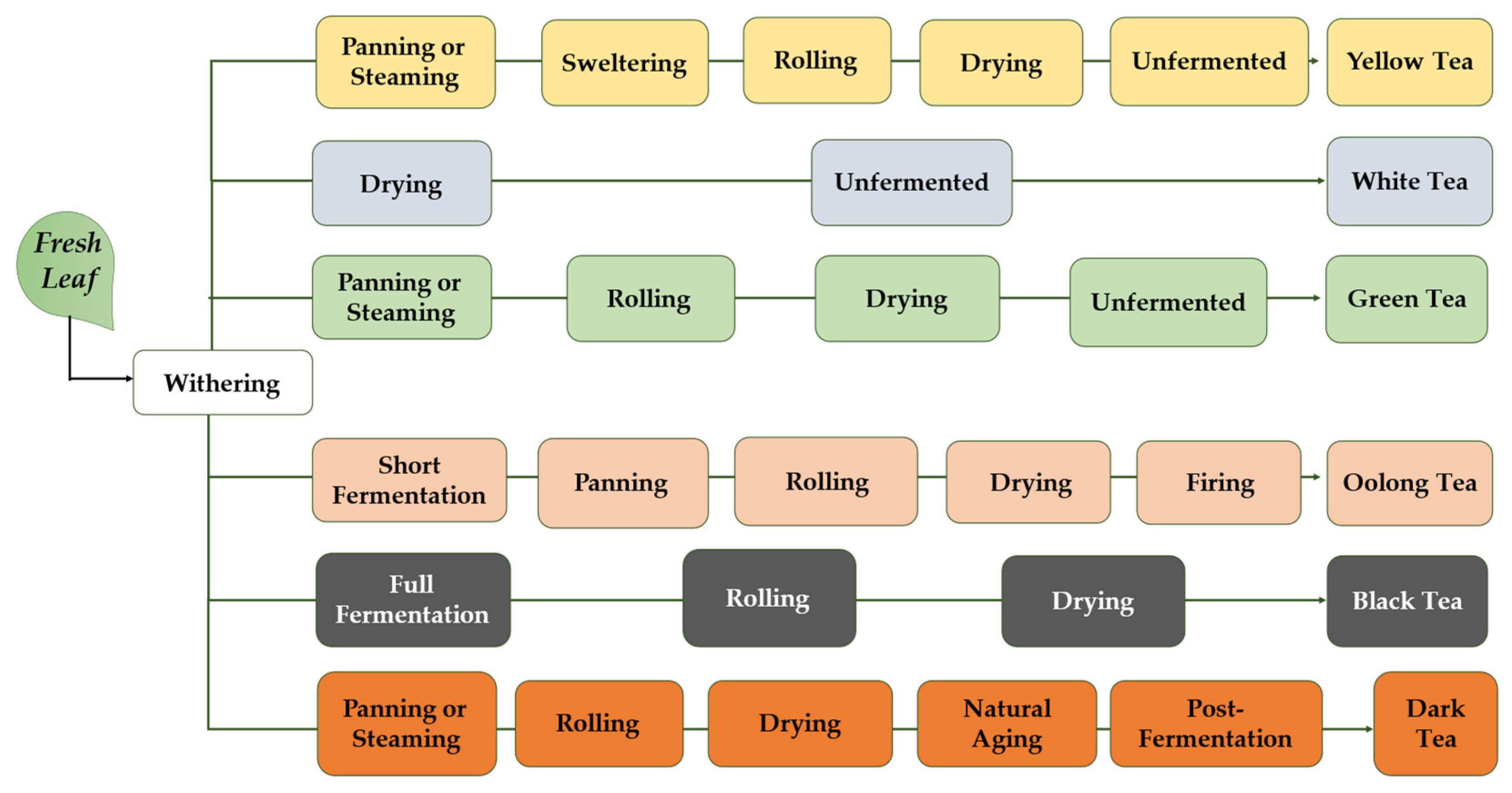 Beverages 08 00018 g001