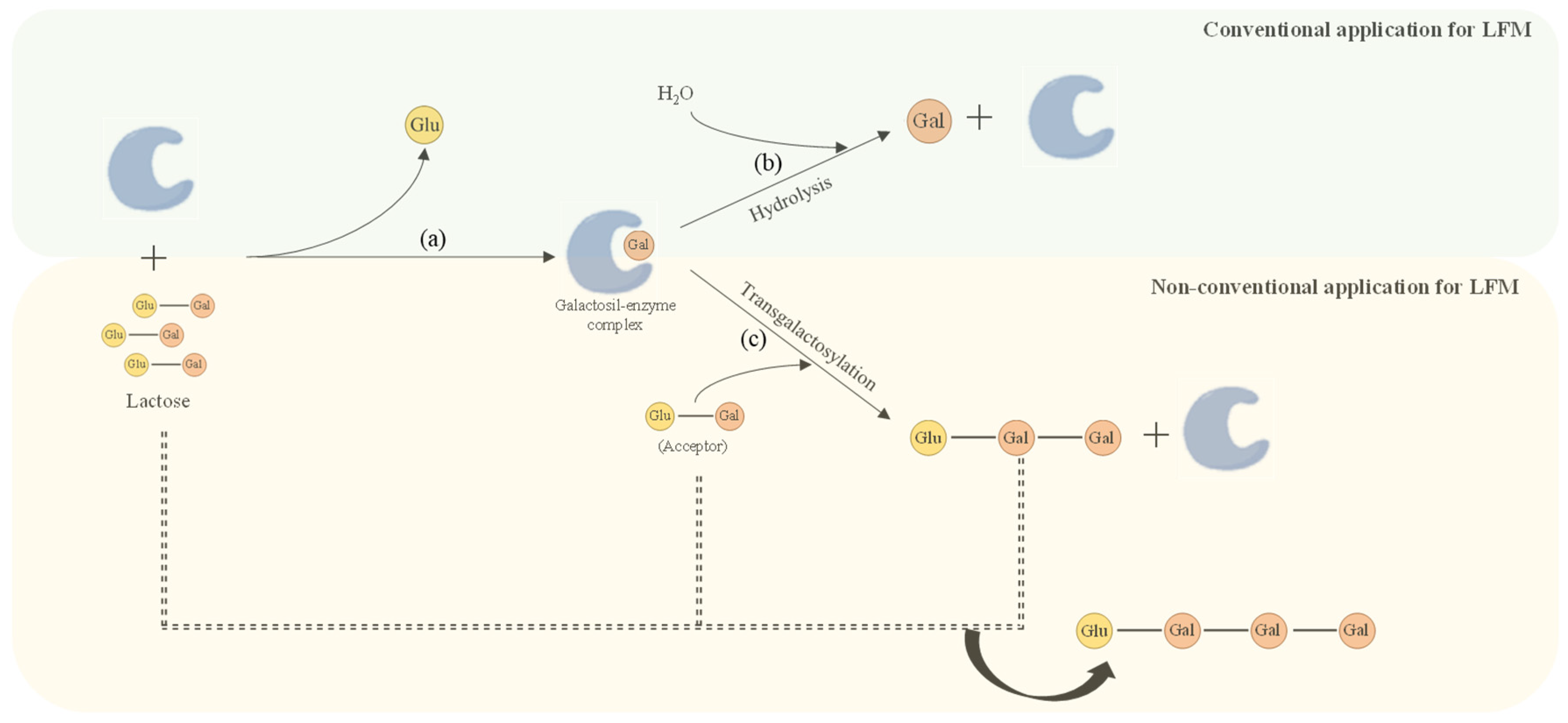 Beverages 08 00021 g003
