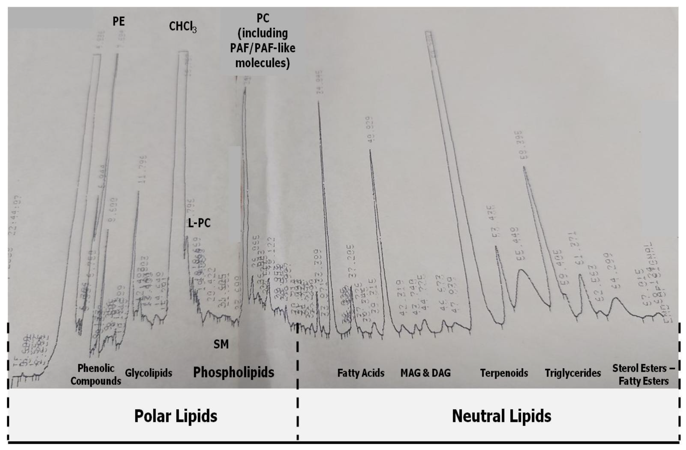 Beverages 08 00039 g001