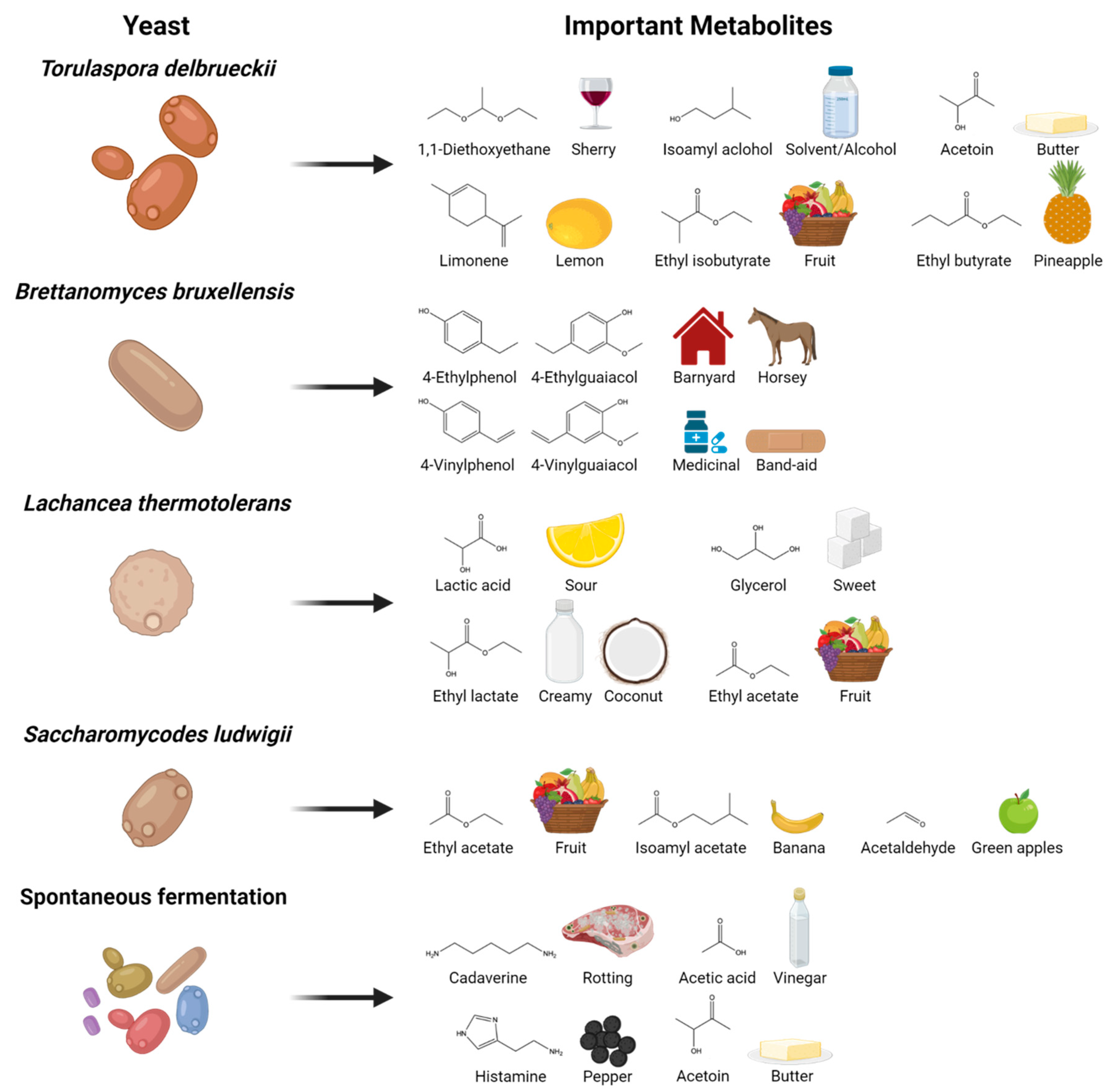 Beverages 08 00041 g001