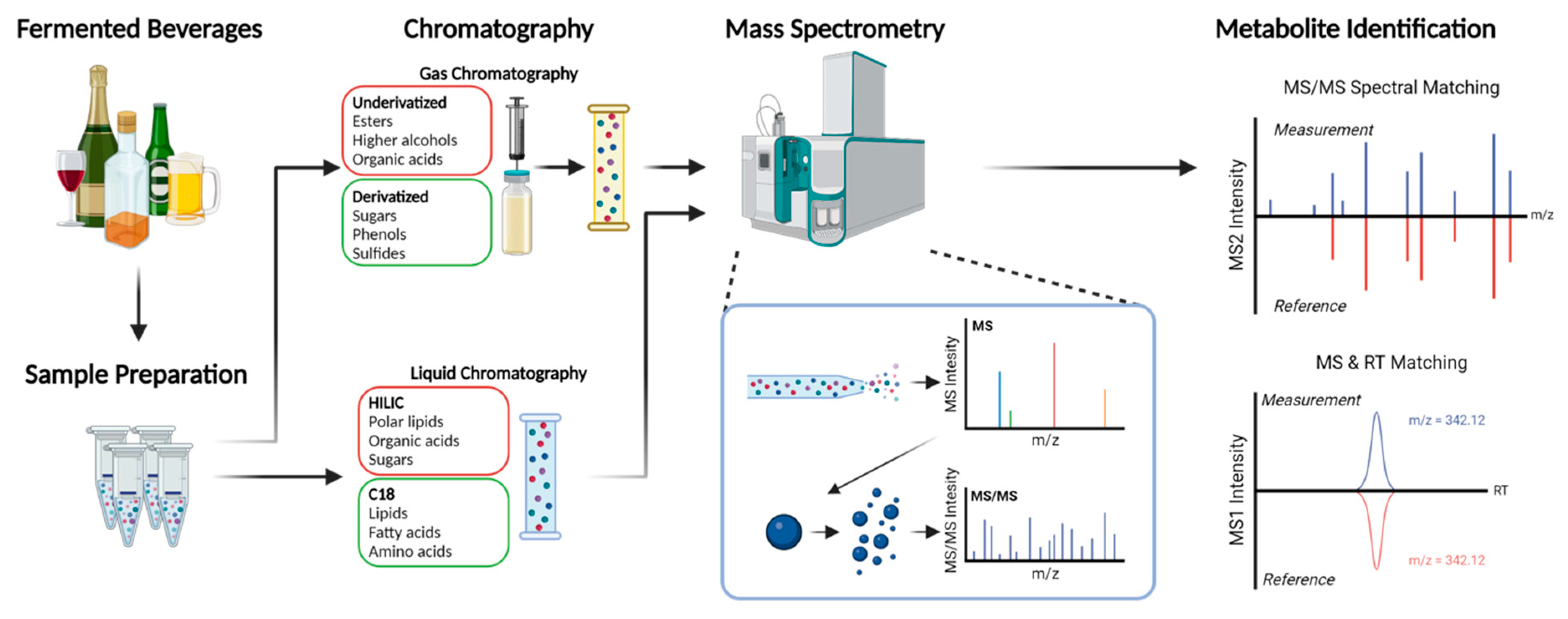 Beverages 08 00041 g002