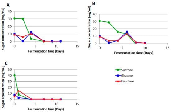 Beverages 08 00050 g002 550