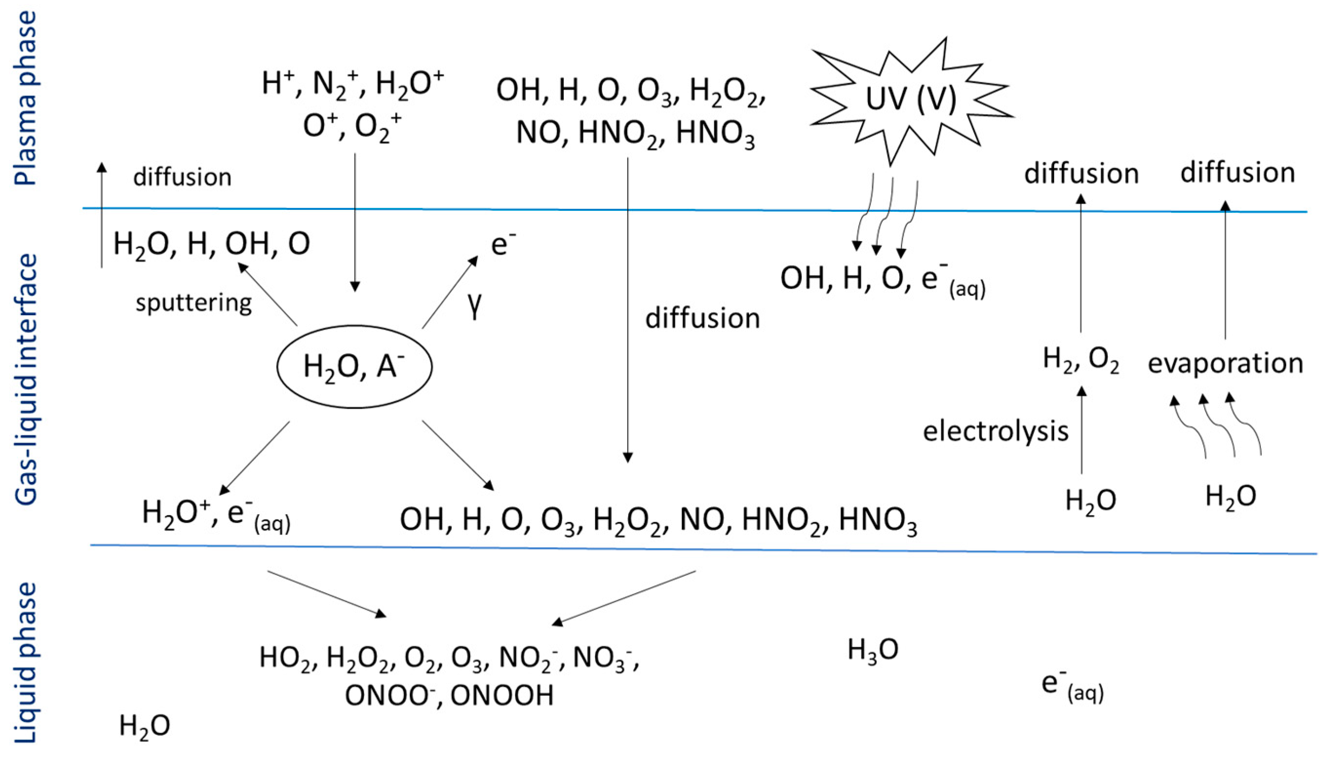 Beverages 08 00063 g001 Beverages 08 00063 g001