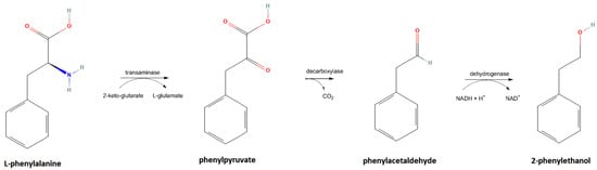 Beverages 08 00064 g001