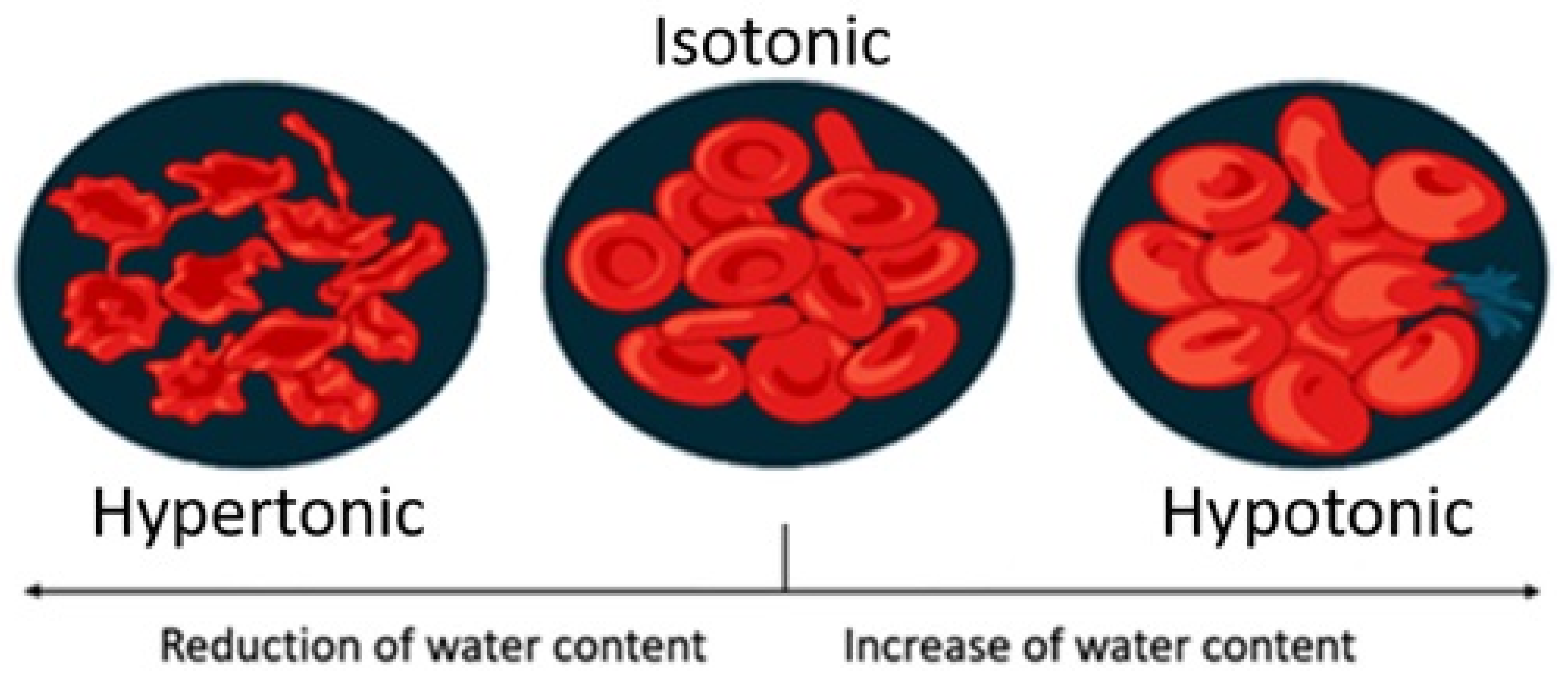 Beverages 09 00027 g001 Beverages 09 00027 g001