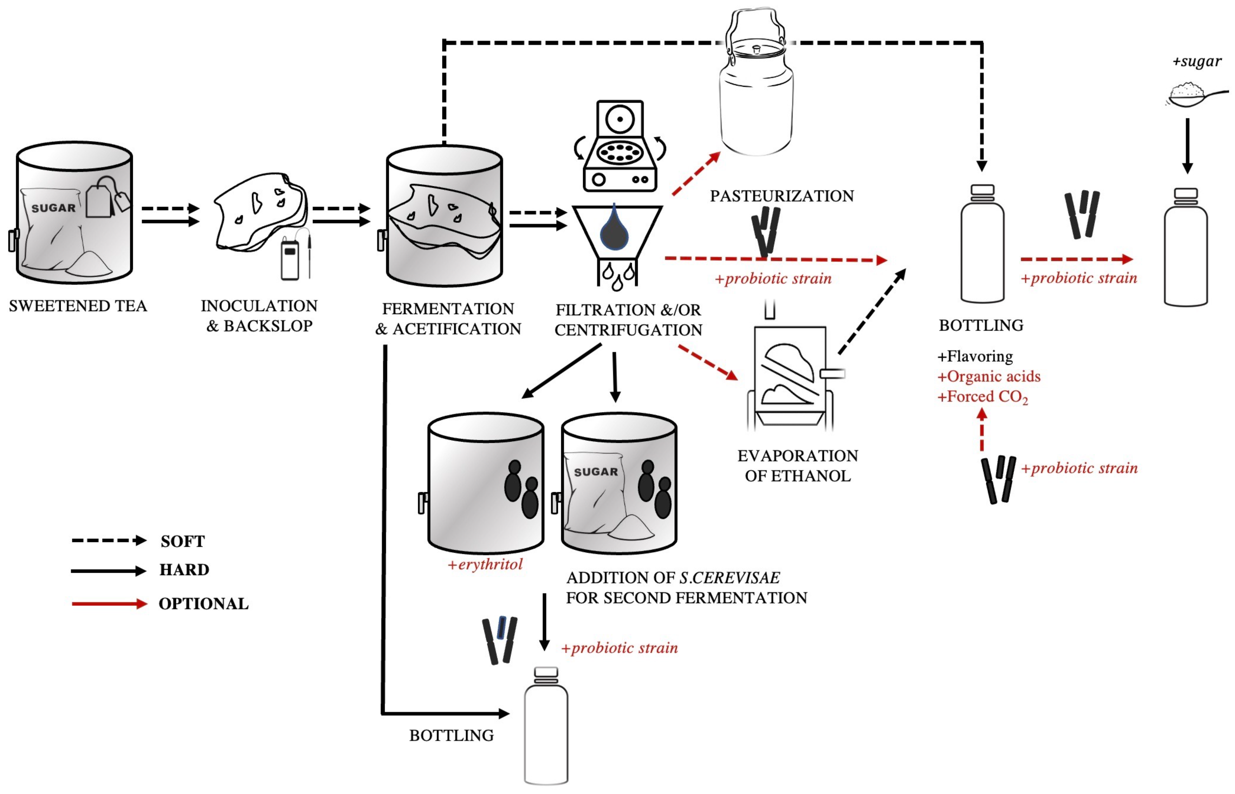 Beverages 09 00059 g001