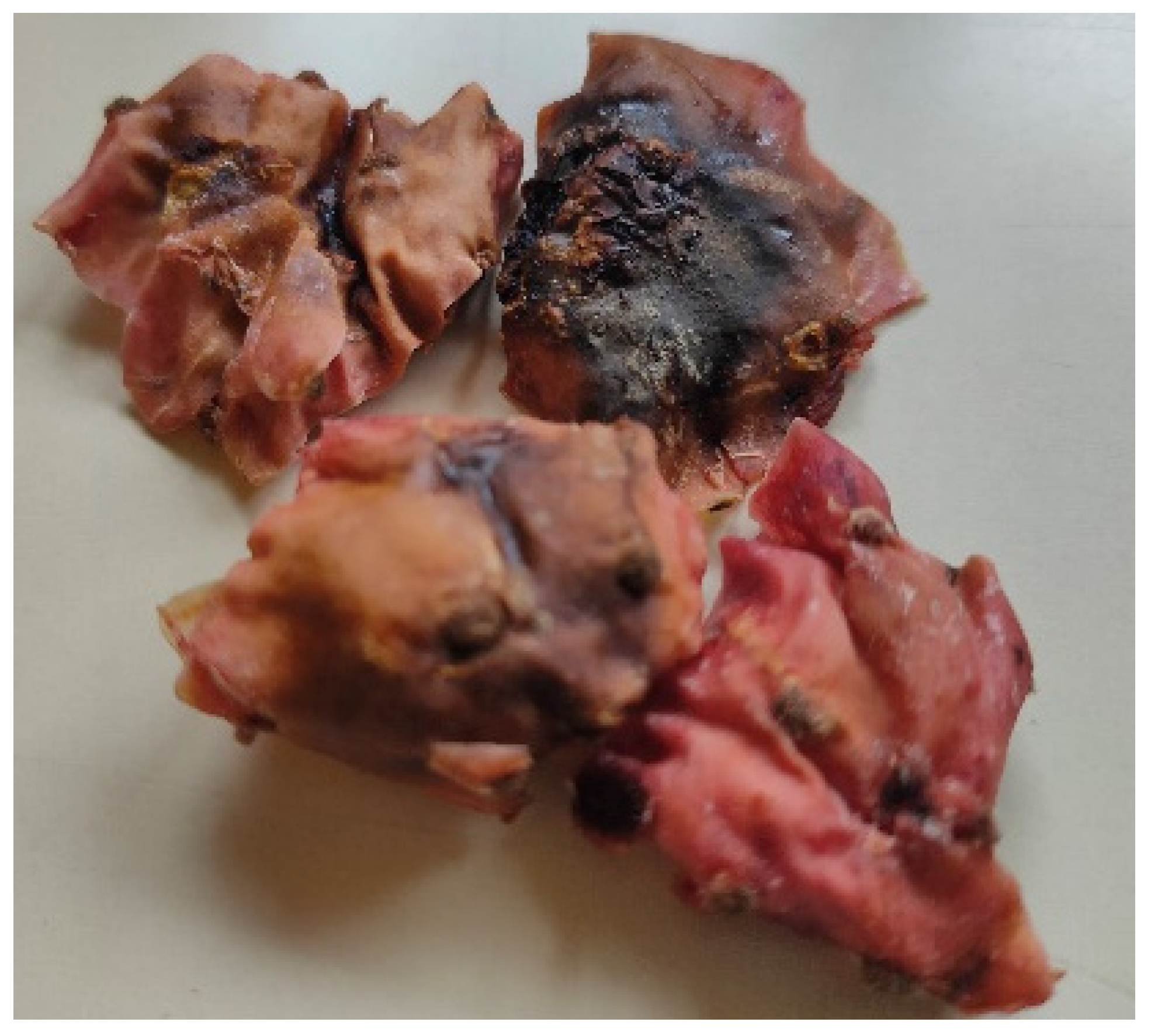 Beverages 09 00097 g002