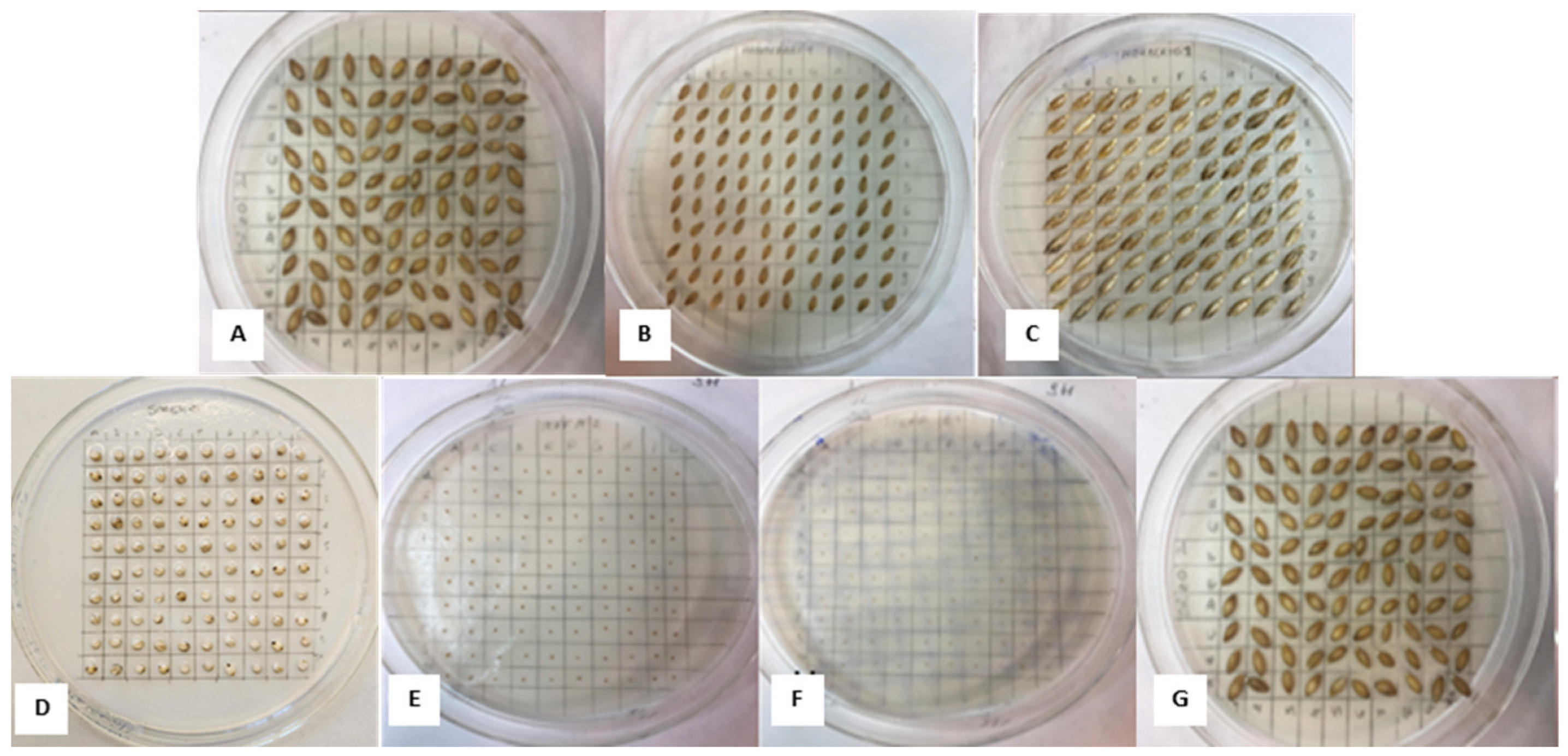 Beverages 10 00002 g001