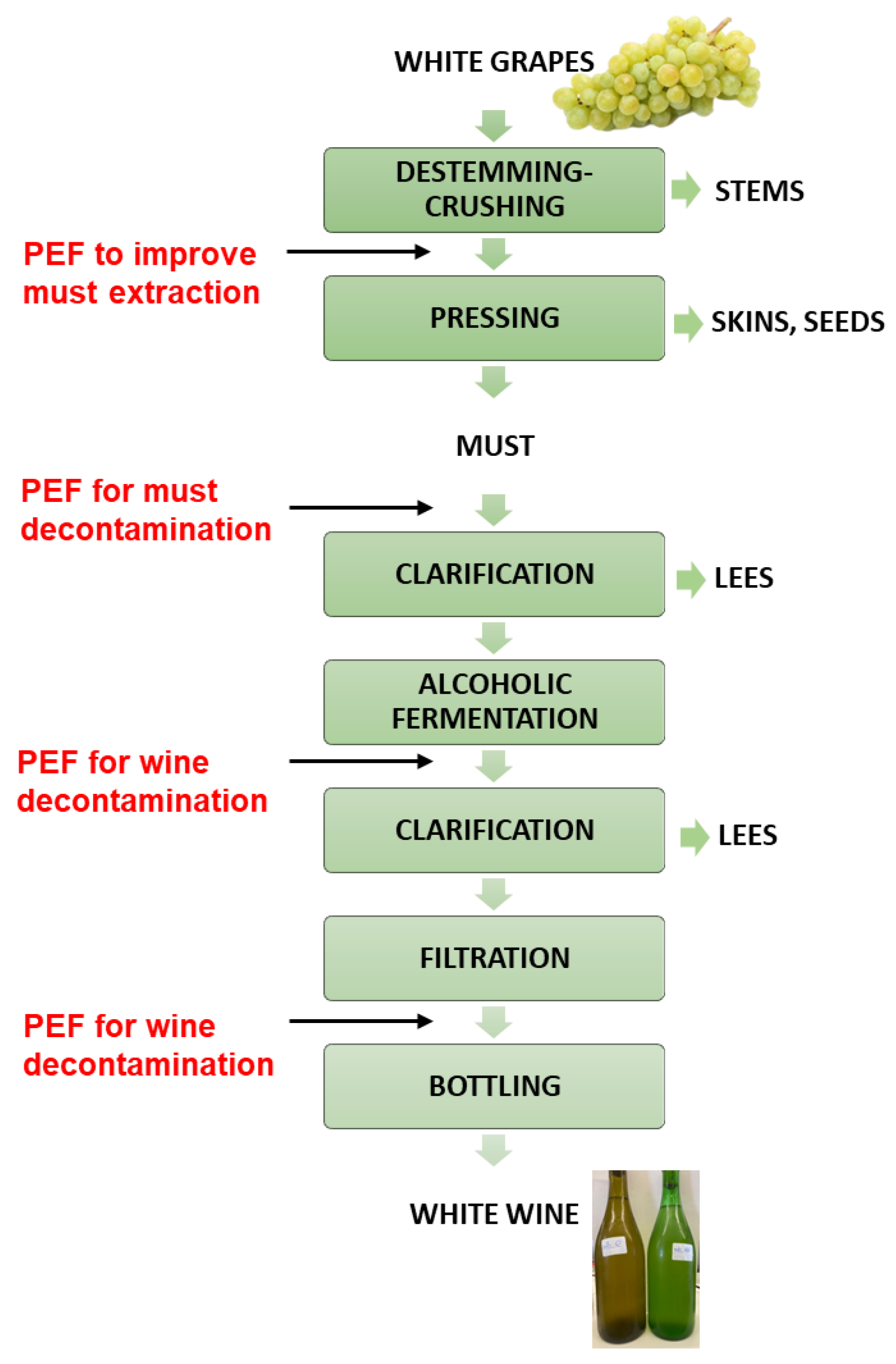 Beverages 10 00006 g001