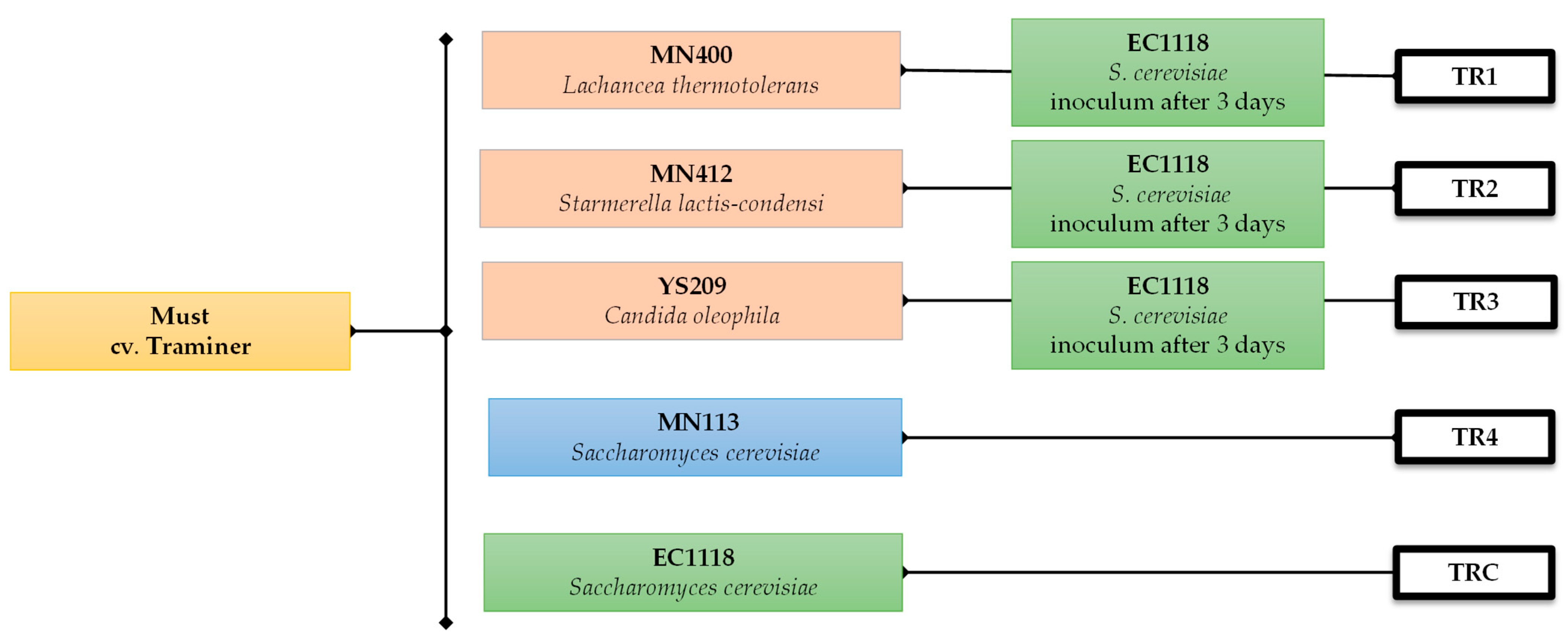 Beverages 10 00048 g001
