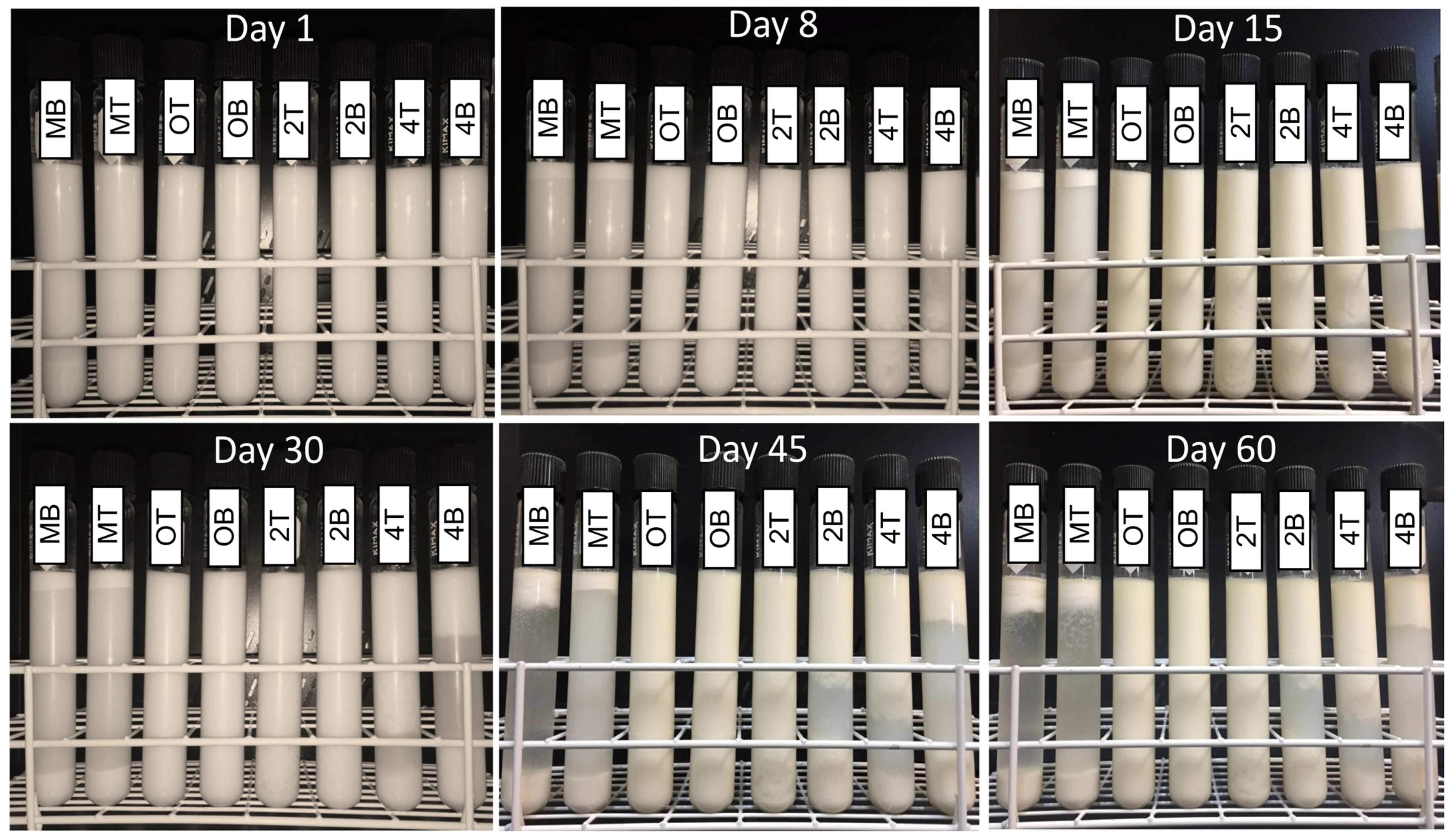 Beverages 10 00058 g005