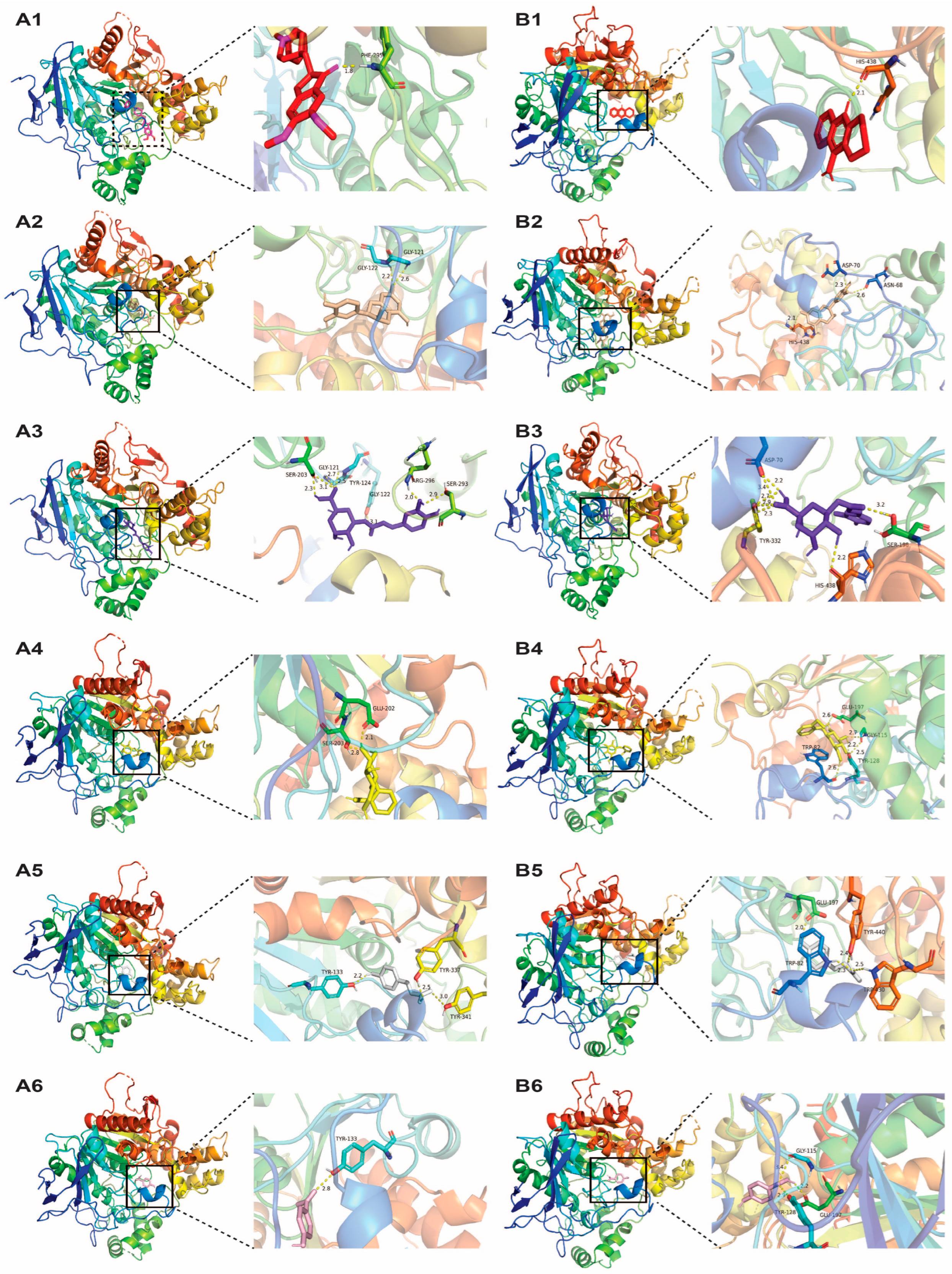 Beverages 10 00075 g007