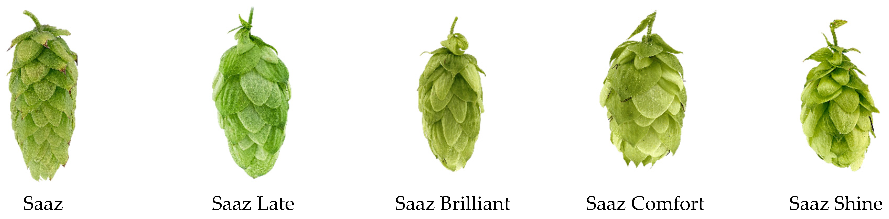 Beverages 10 00090 g001