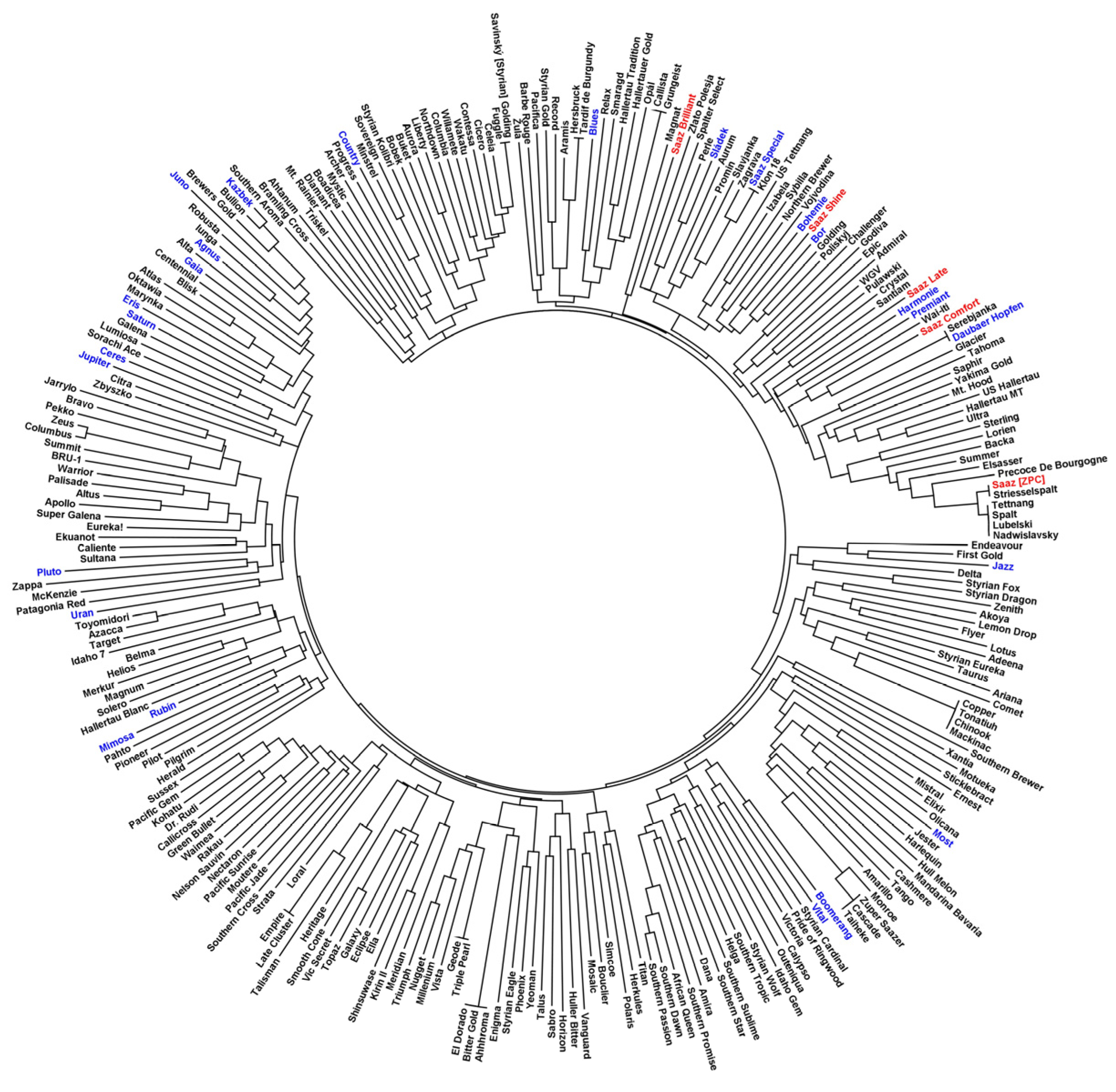 Beverages 10 00090 g003