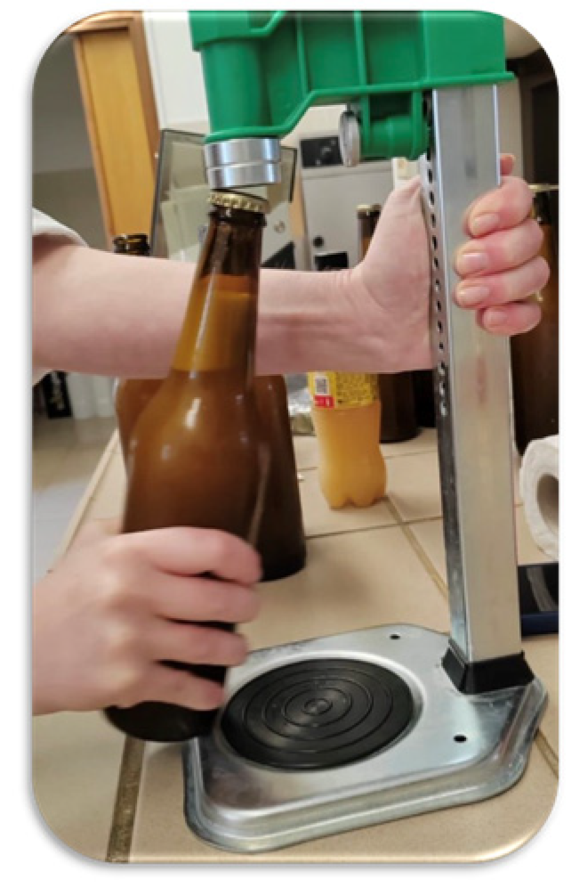 Beverages 10 00097 g002