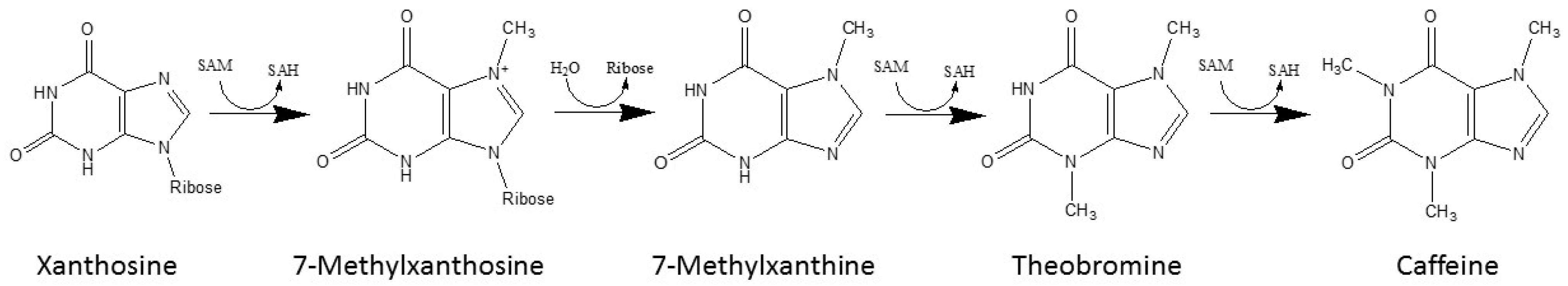 Beverages 11 00018 g002