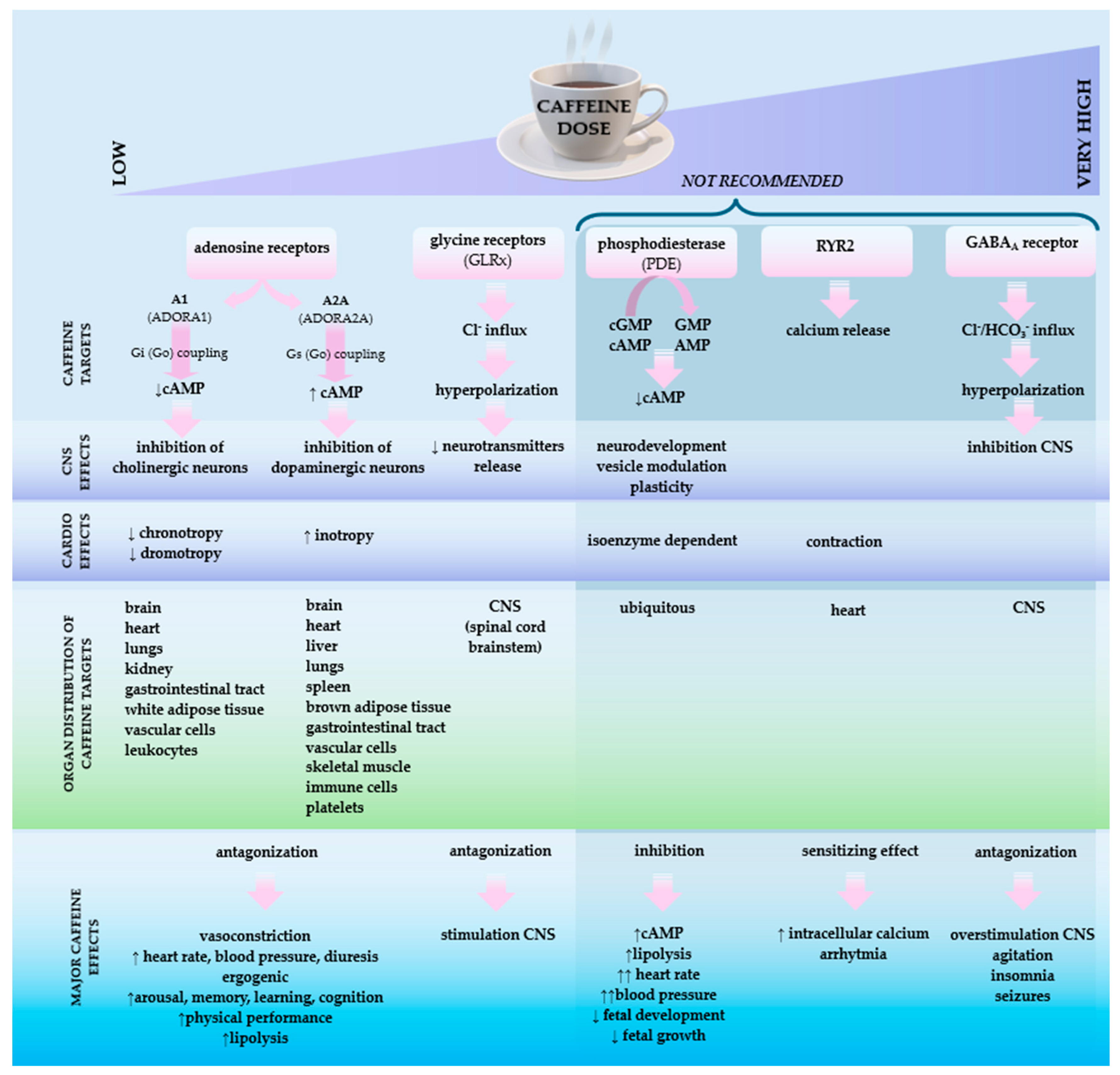 Beverages 11 00018 g003
