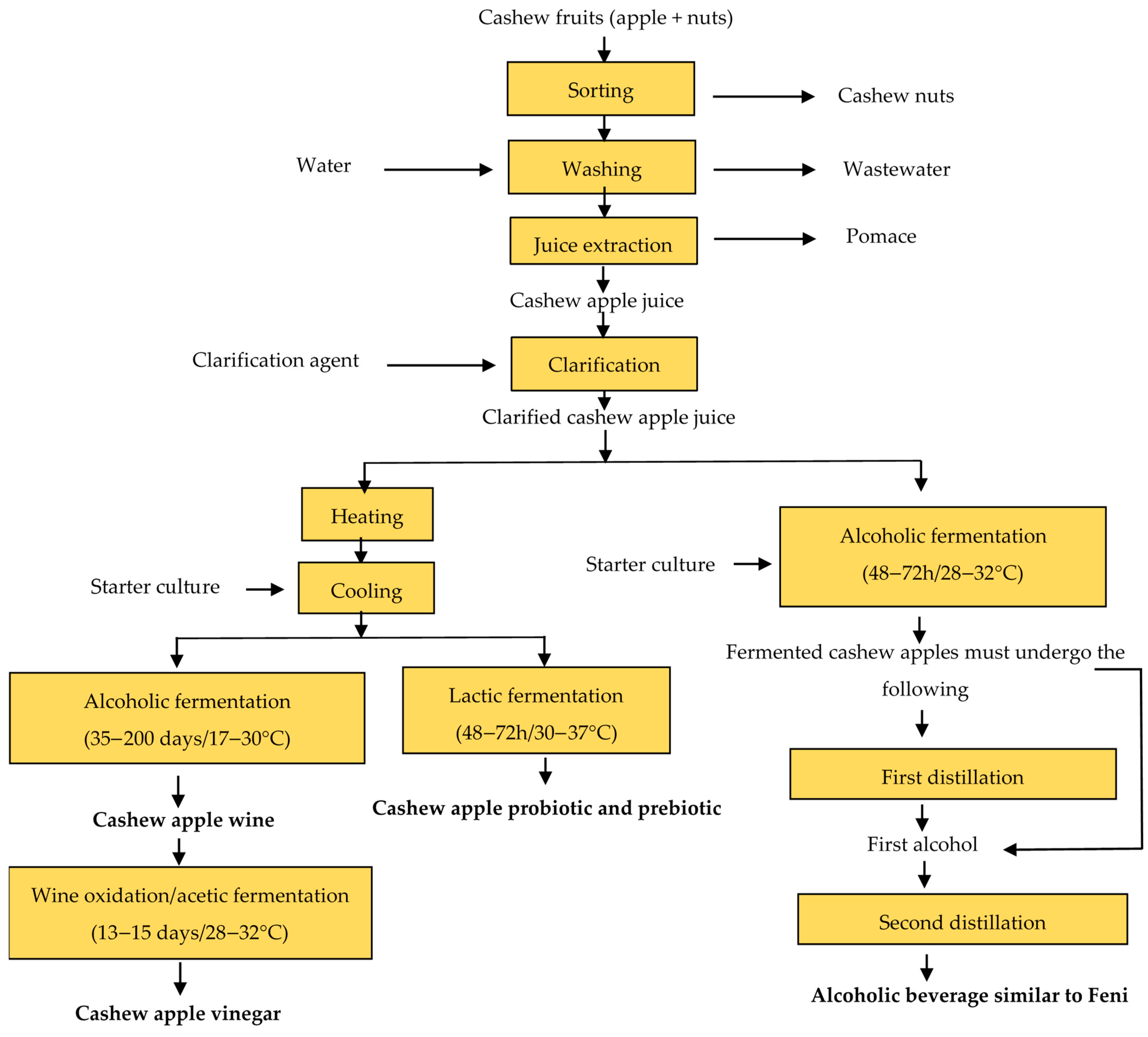 Beverages 11 00049 g001