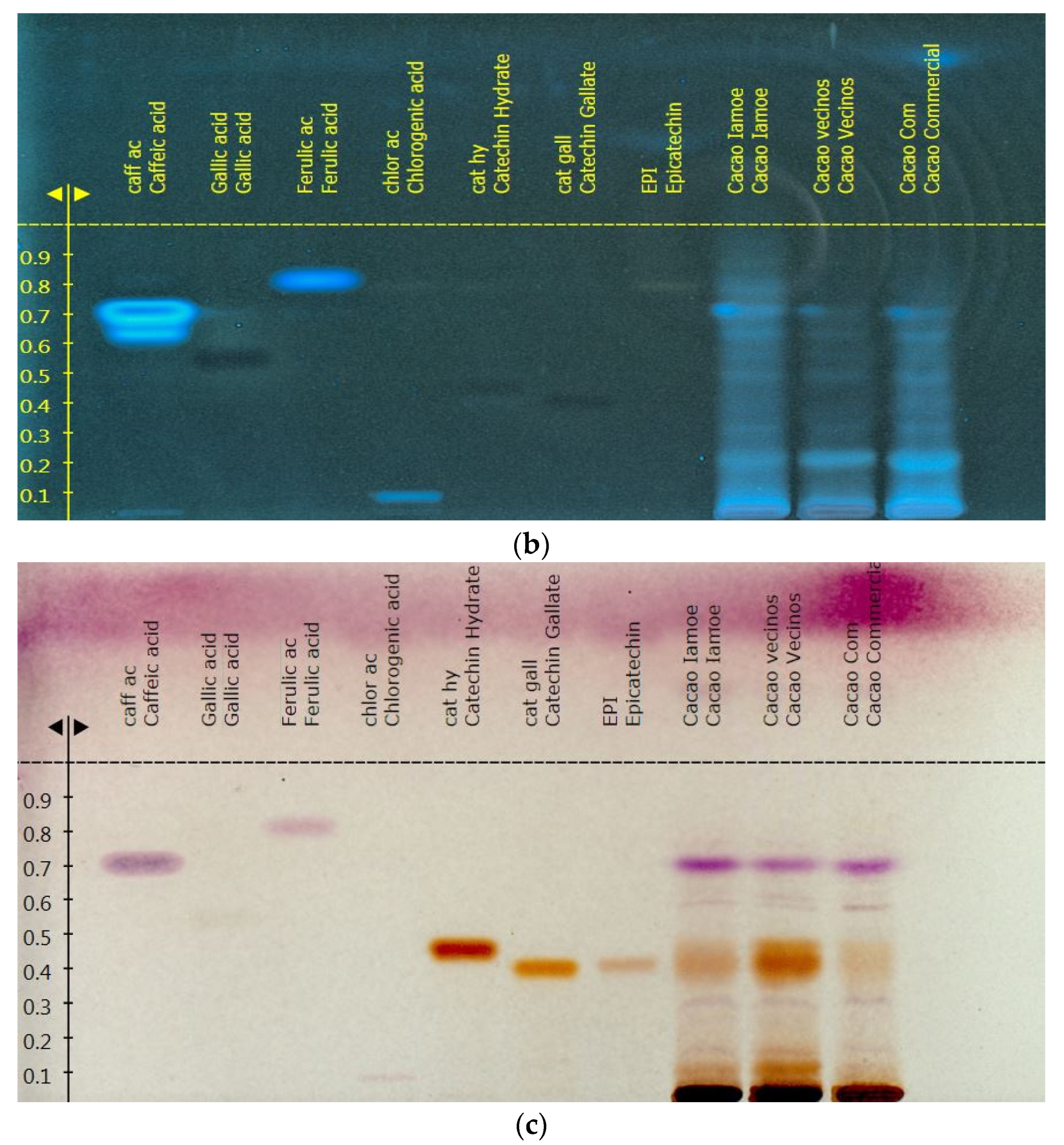 Beverages 11 00093 g003b