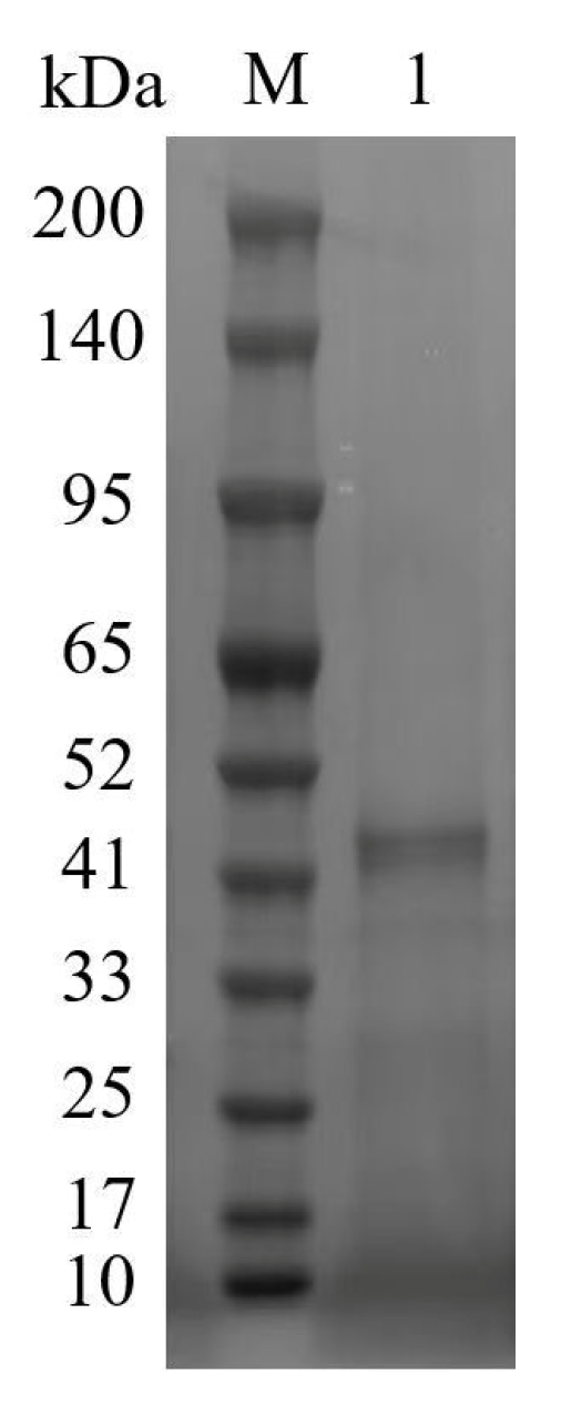 Beverages 11 00099 g002