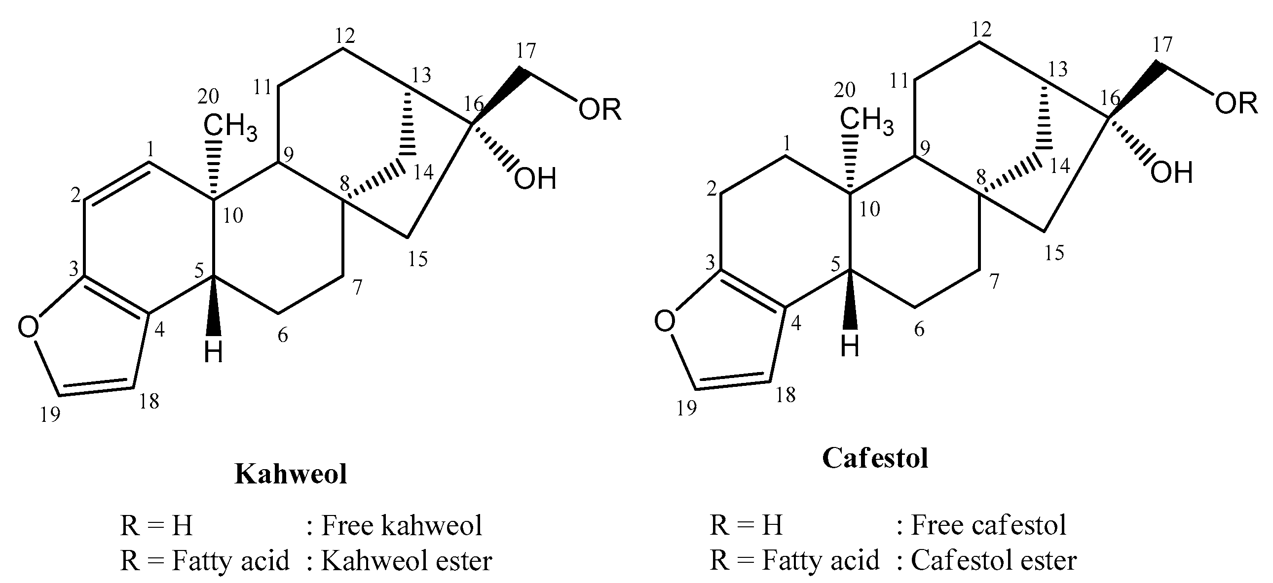 Beverages 11 00105 g001 Beverages 11 00105 g001