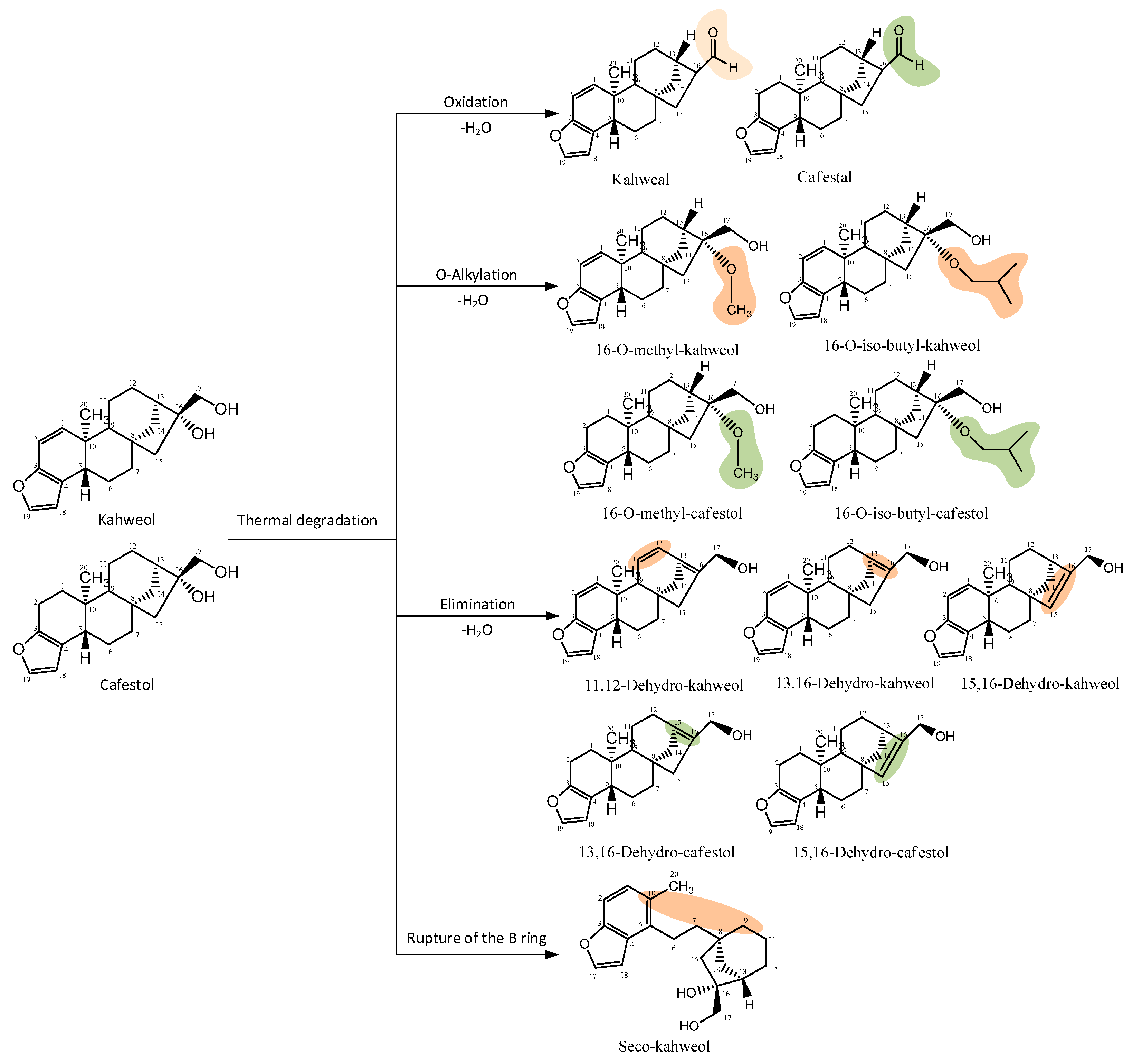 Beverages 11 00105 g004 Beverages 11 00105 g004