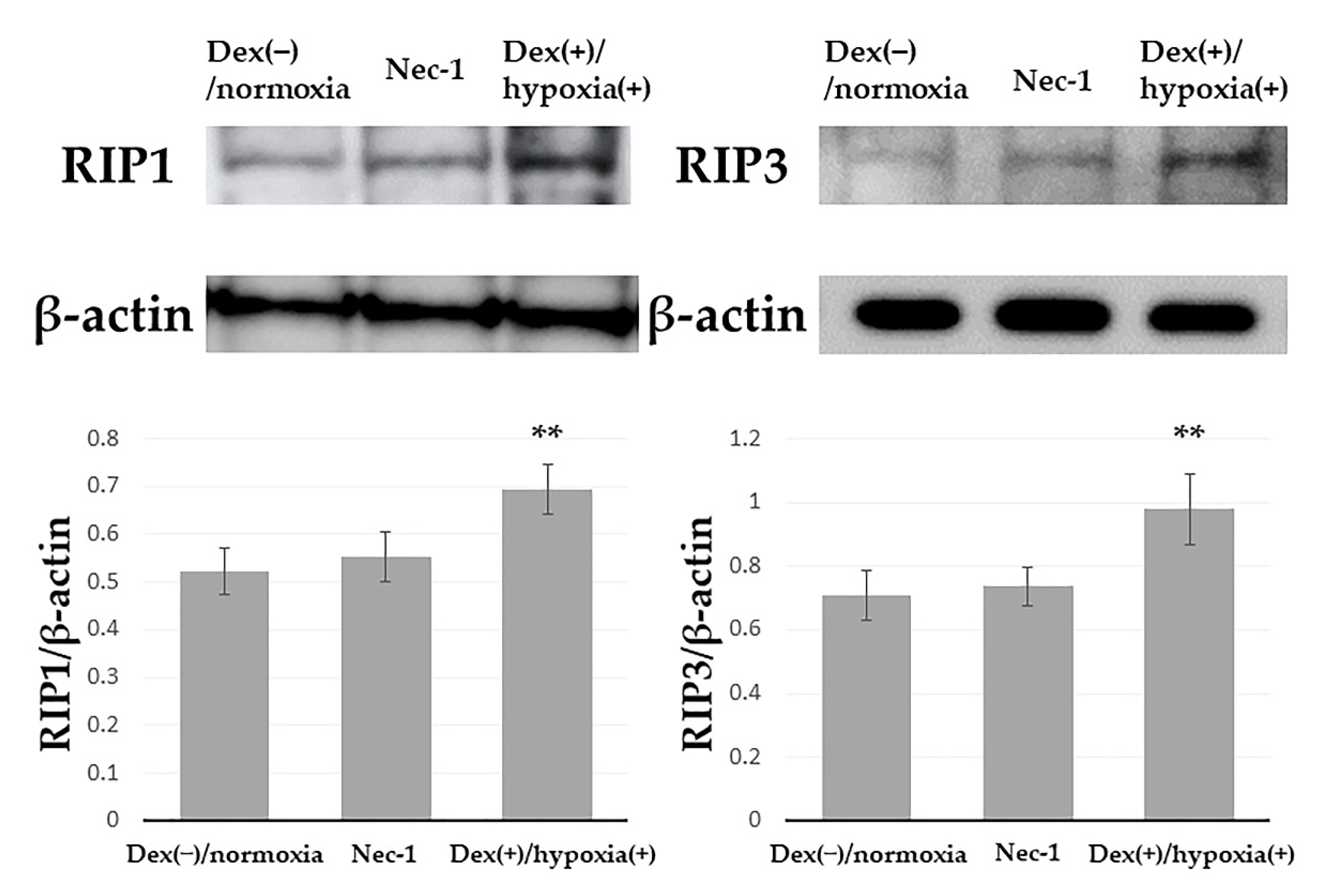 Biochem 01 00009 g002