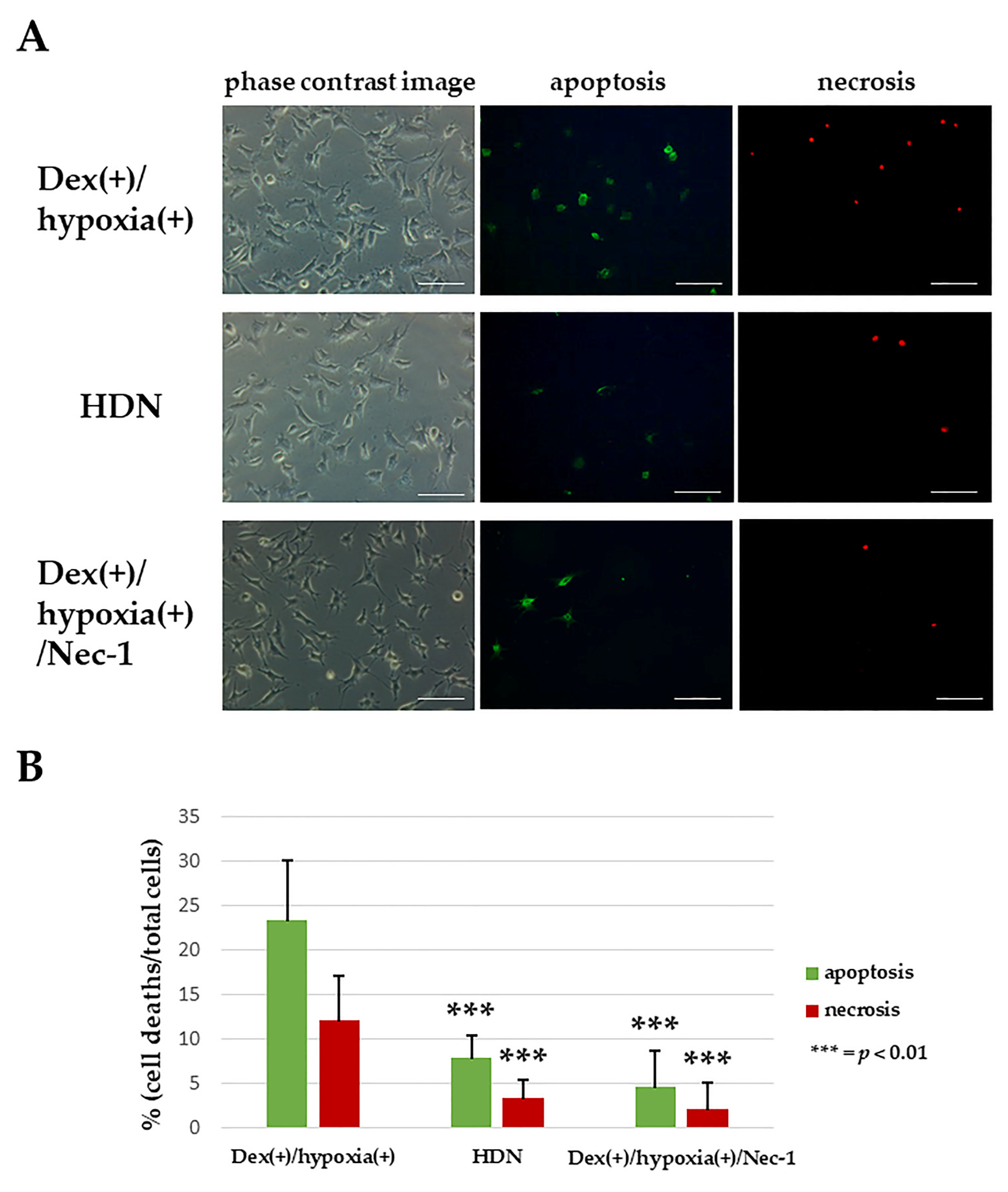 Biochem 01 00009 g003
