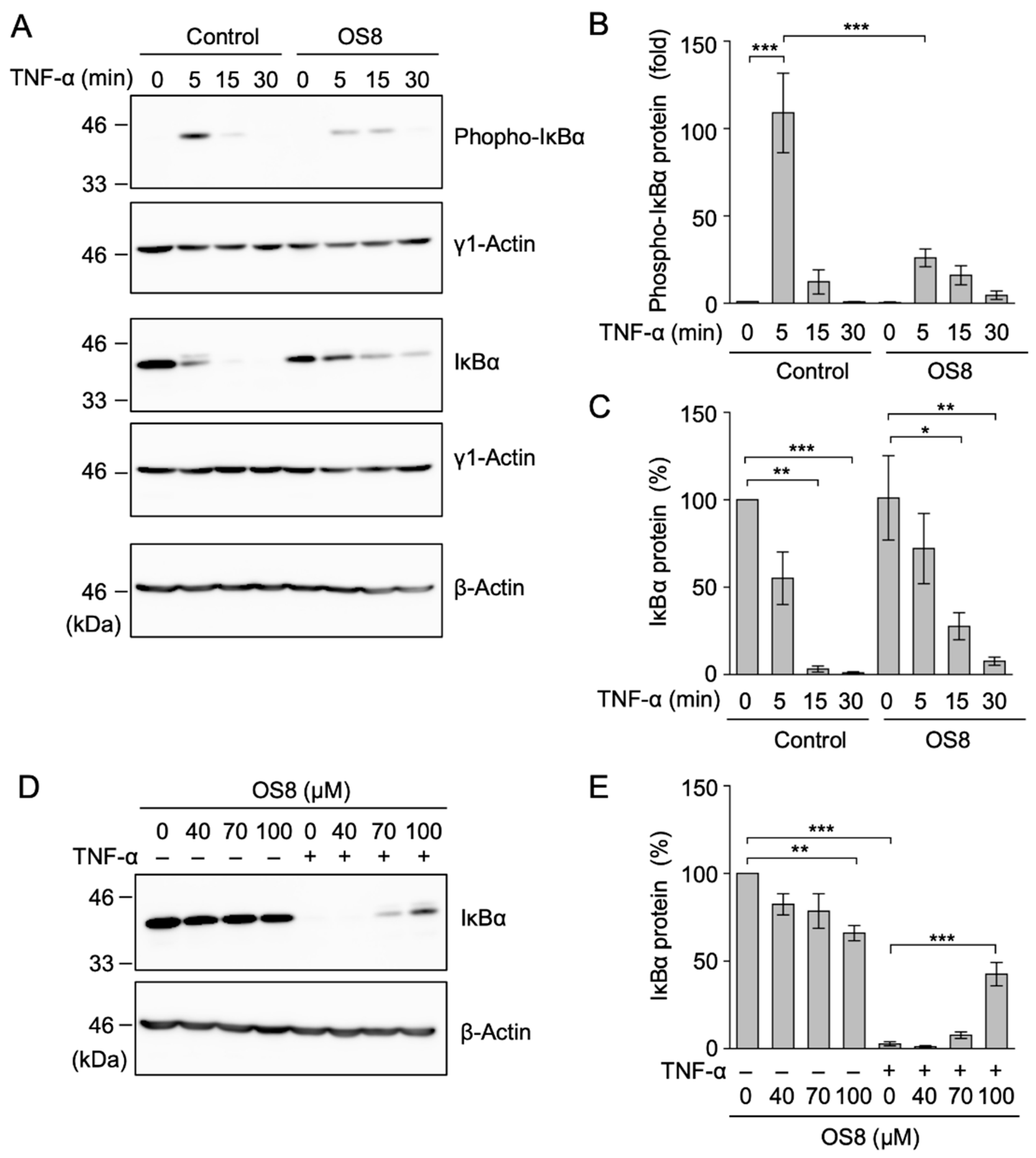 Biochem 01 00010 g007