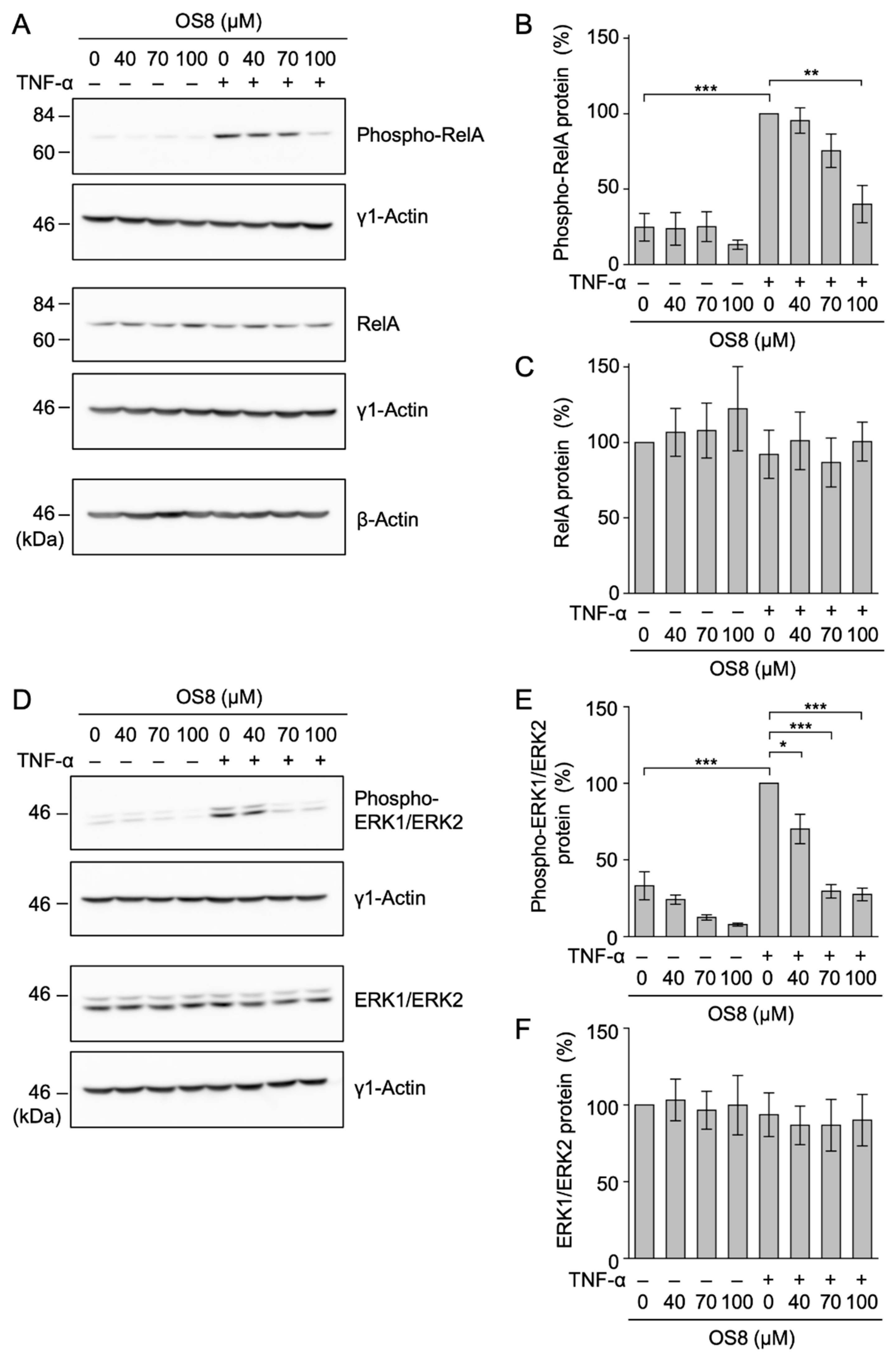 Biochem 01 00010 g008
