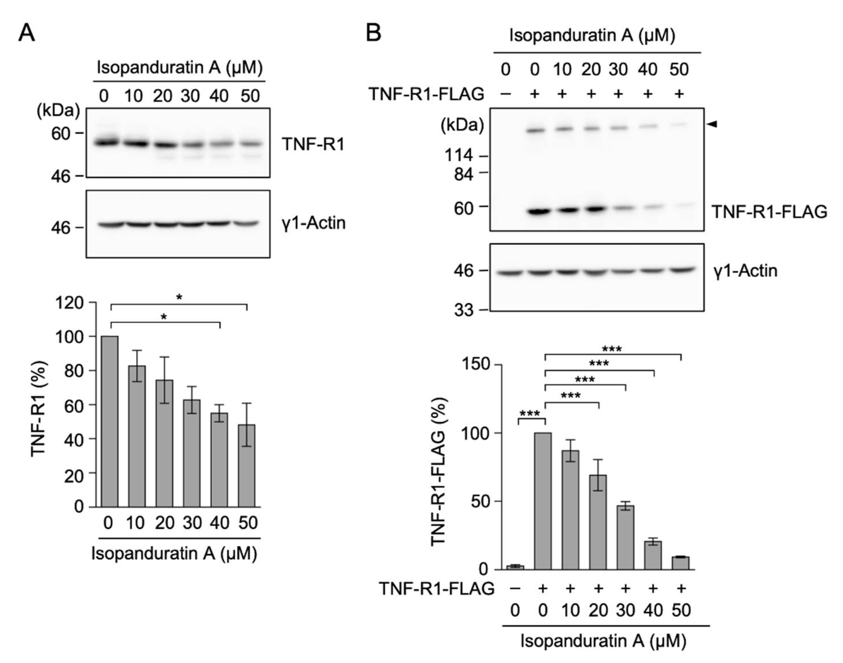 Biochem 01 00014 g002