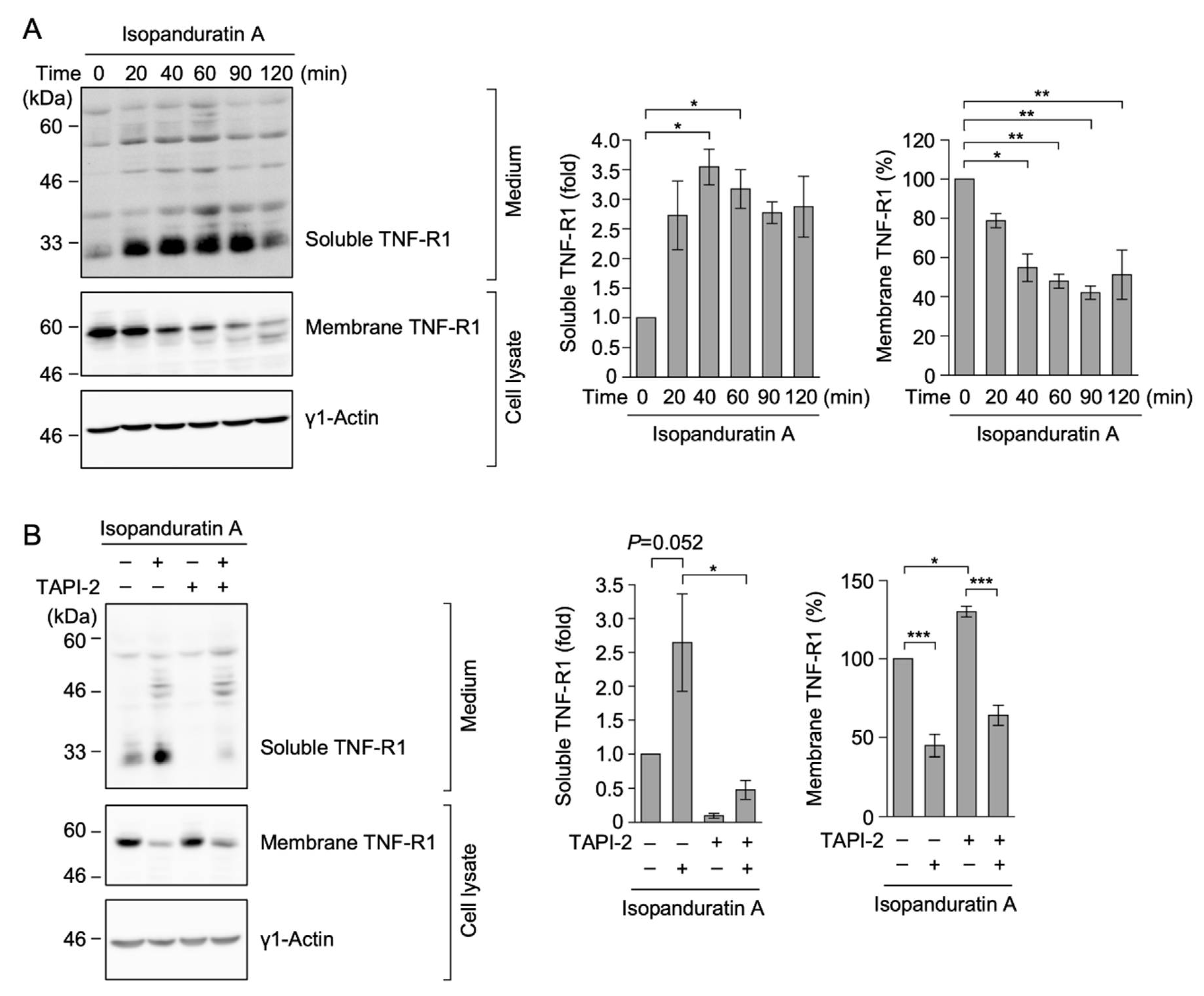 Biochem 01 00014 g003