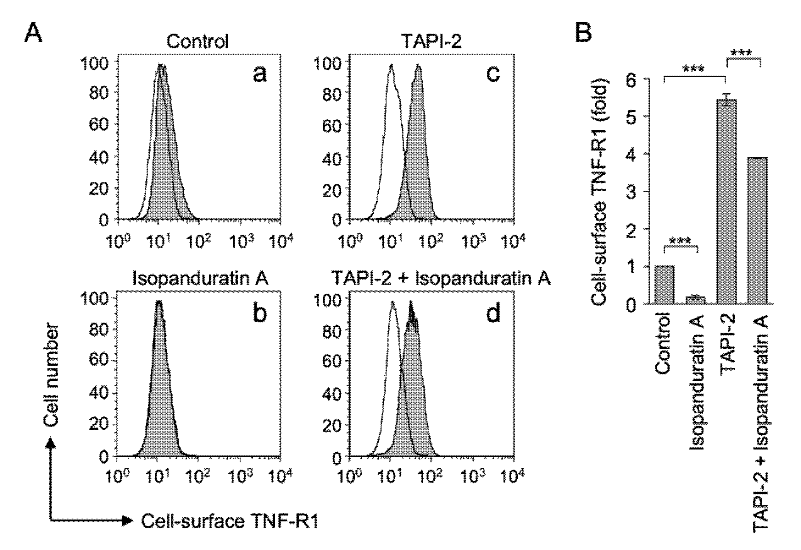 Biochem 01 00014 g004