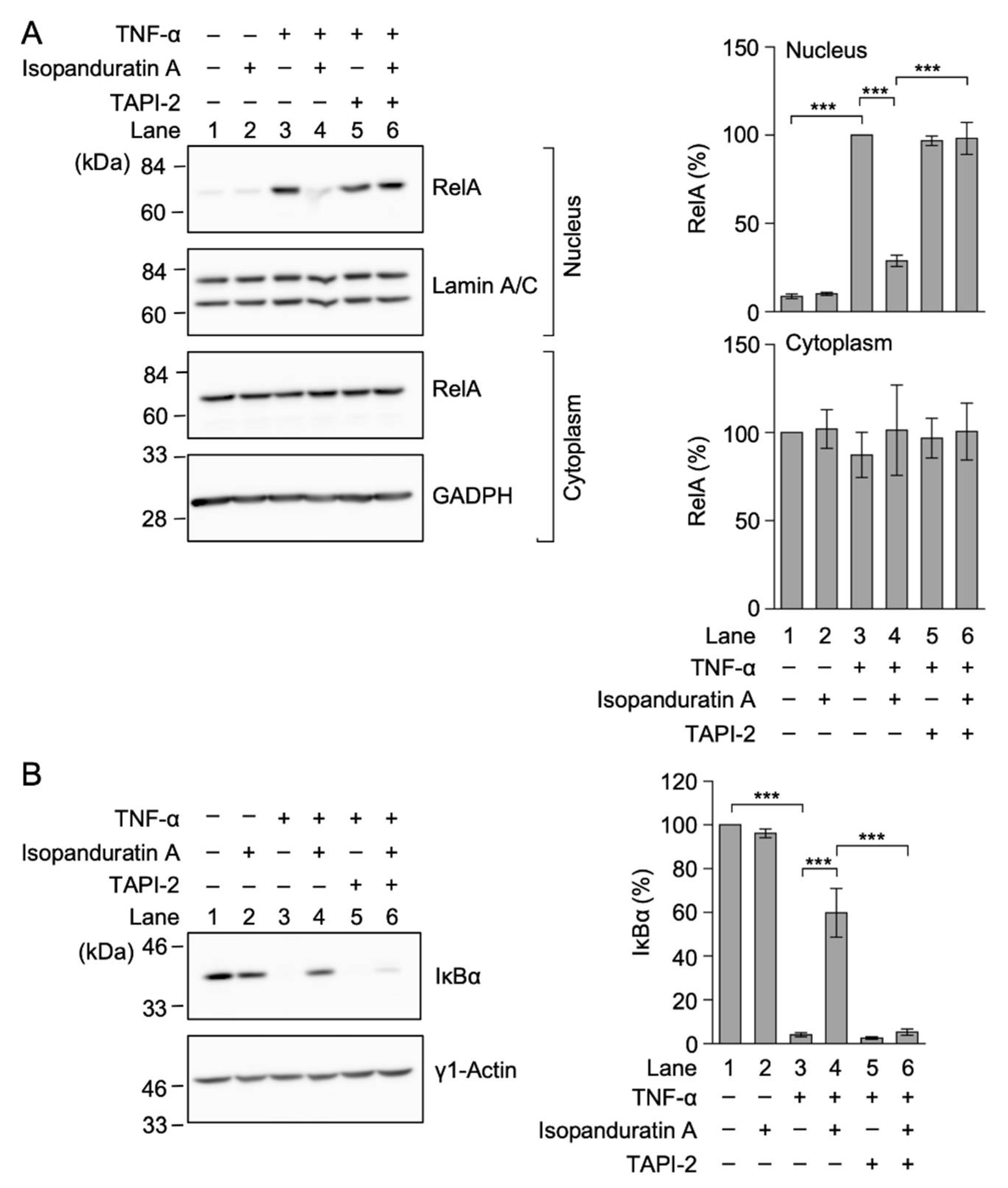 Biochem 01 00014 g005
