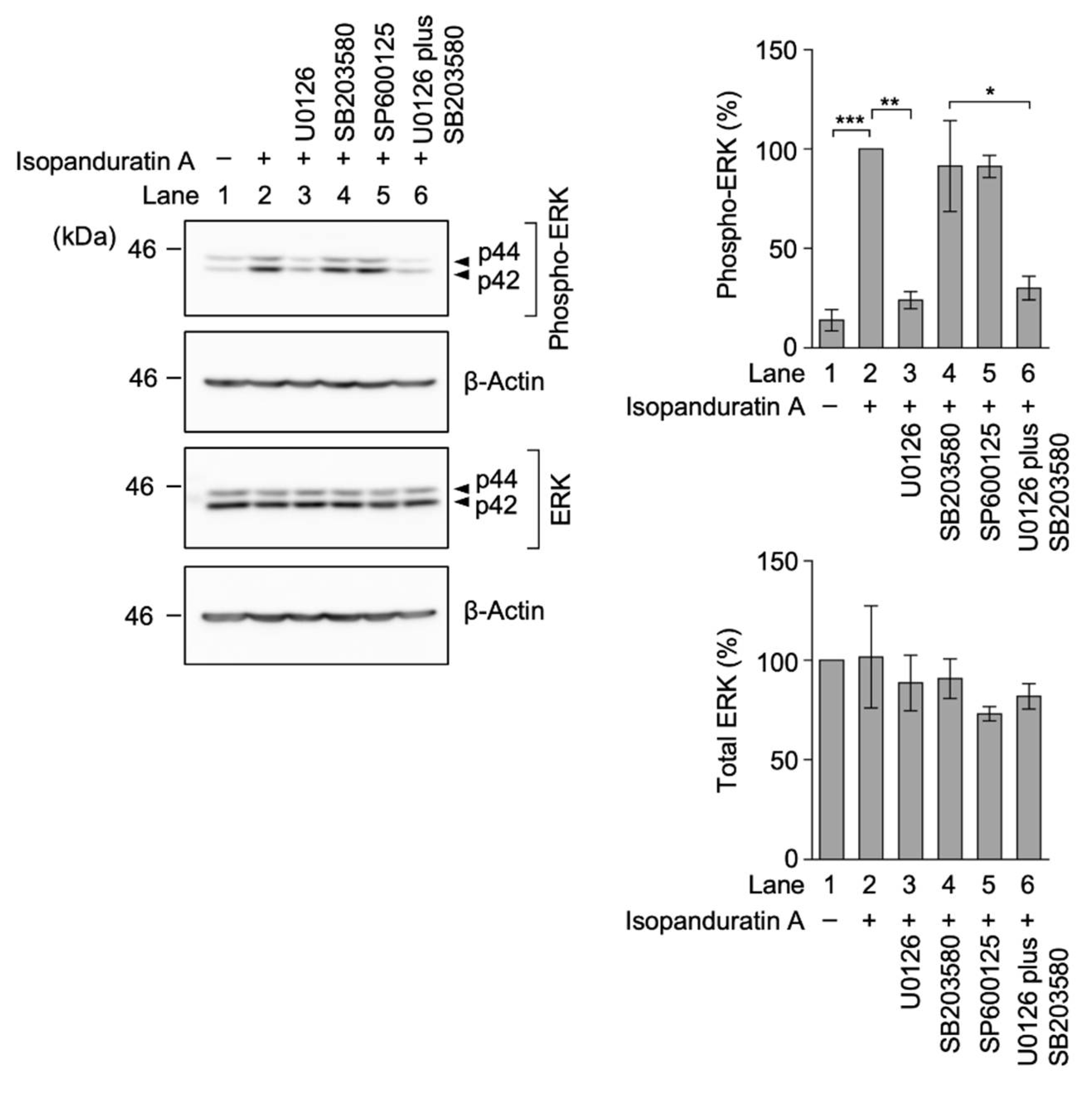 Biochem 01 00014 g008